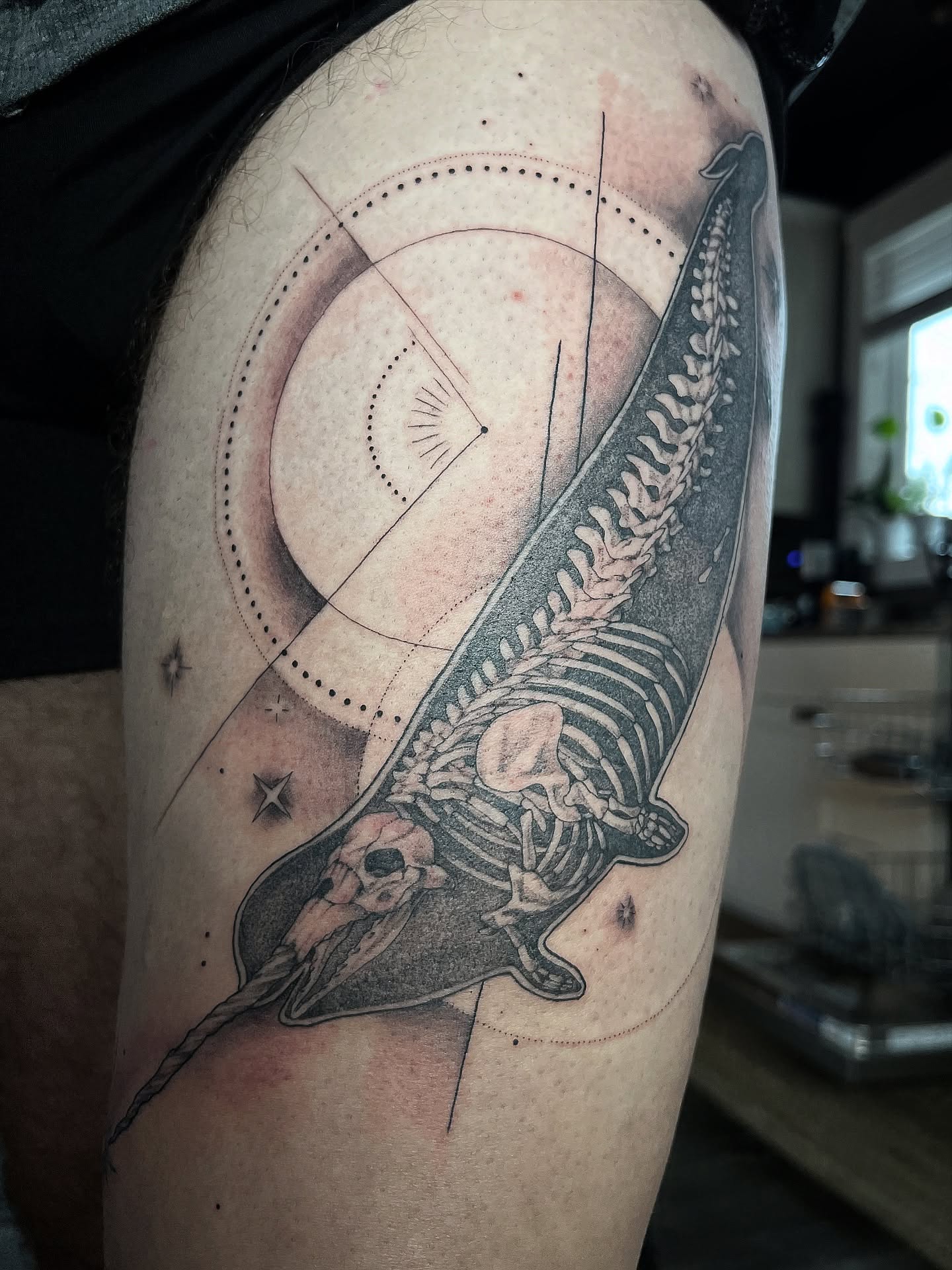 Dolphin skeleton realism tattoo on the thigh by Amanda Leitch