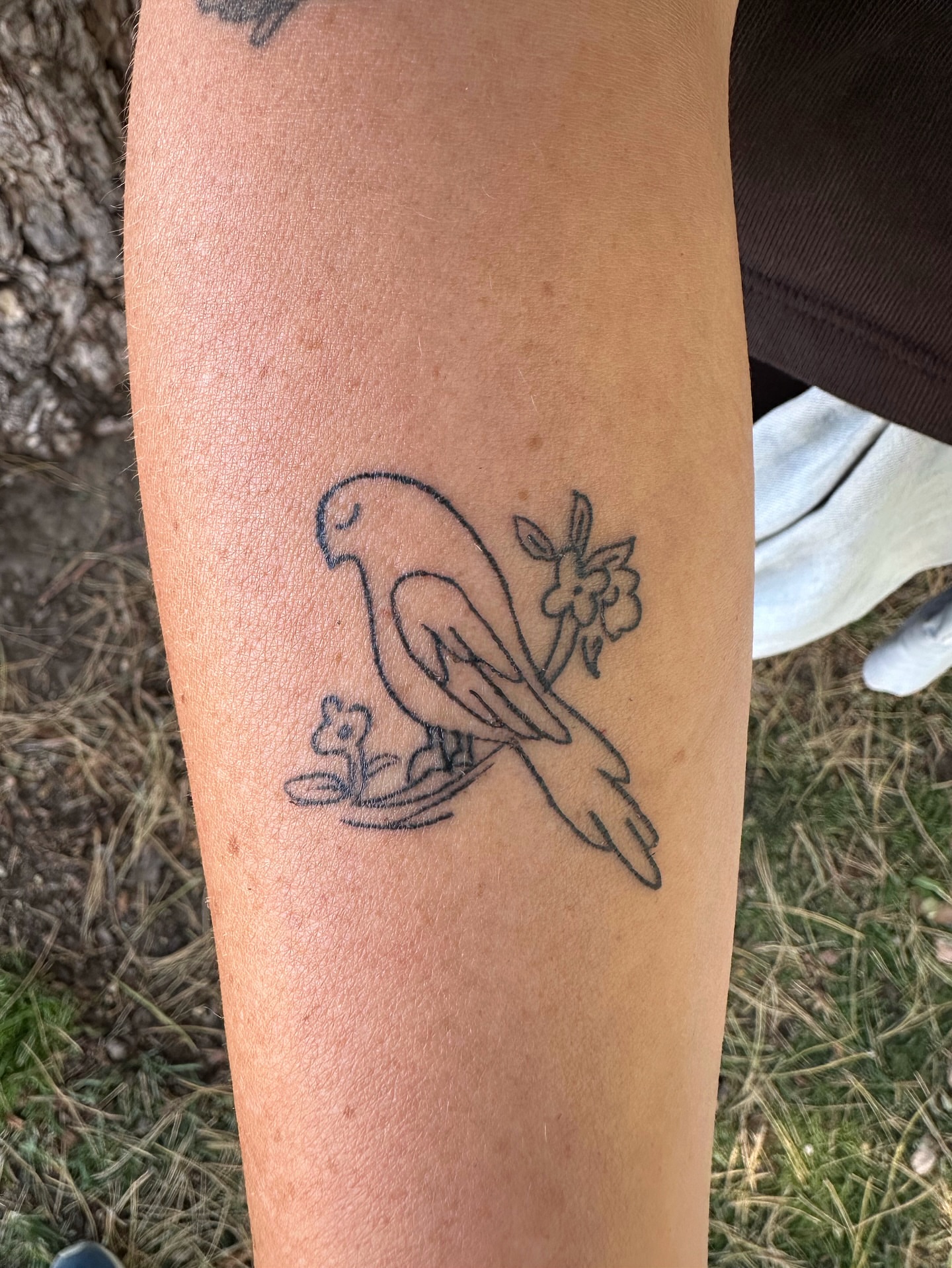 Bird and flower black and grey tattoo on the forearm by Matt Tripodi