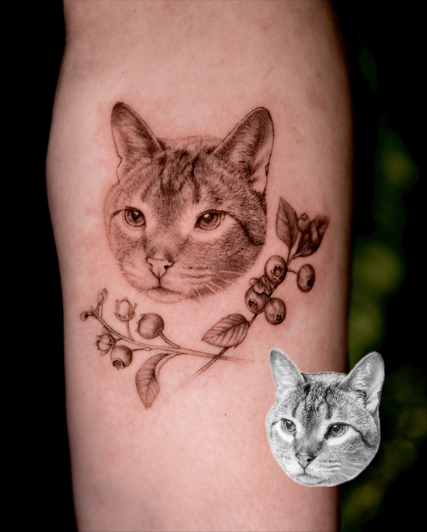 Cat realism tattoo on the forearm by Toki