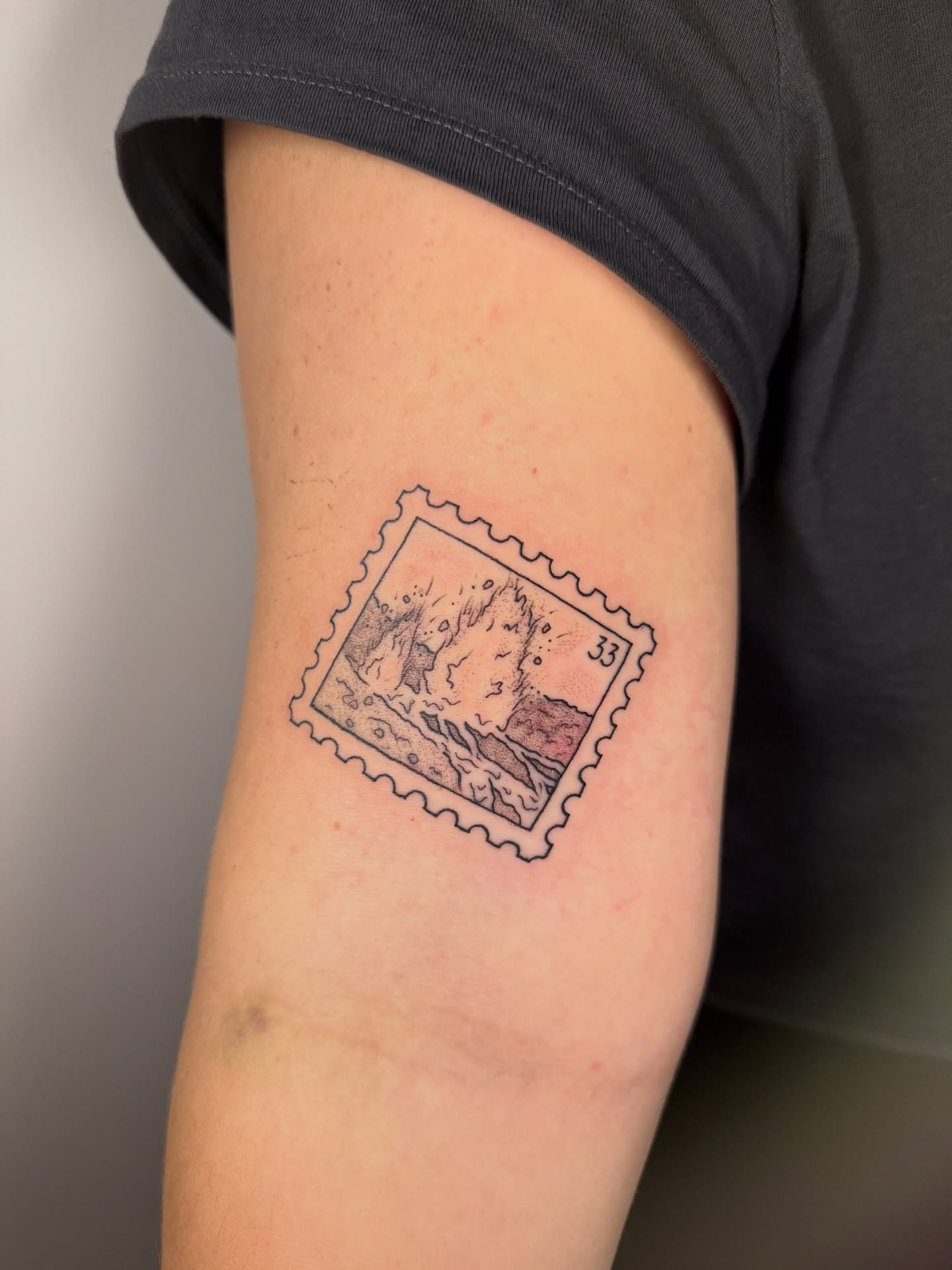 Tattoo by @chemilieon — black_and_grey