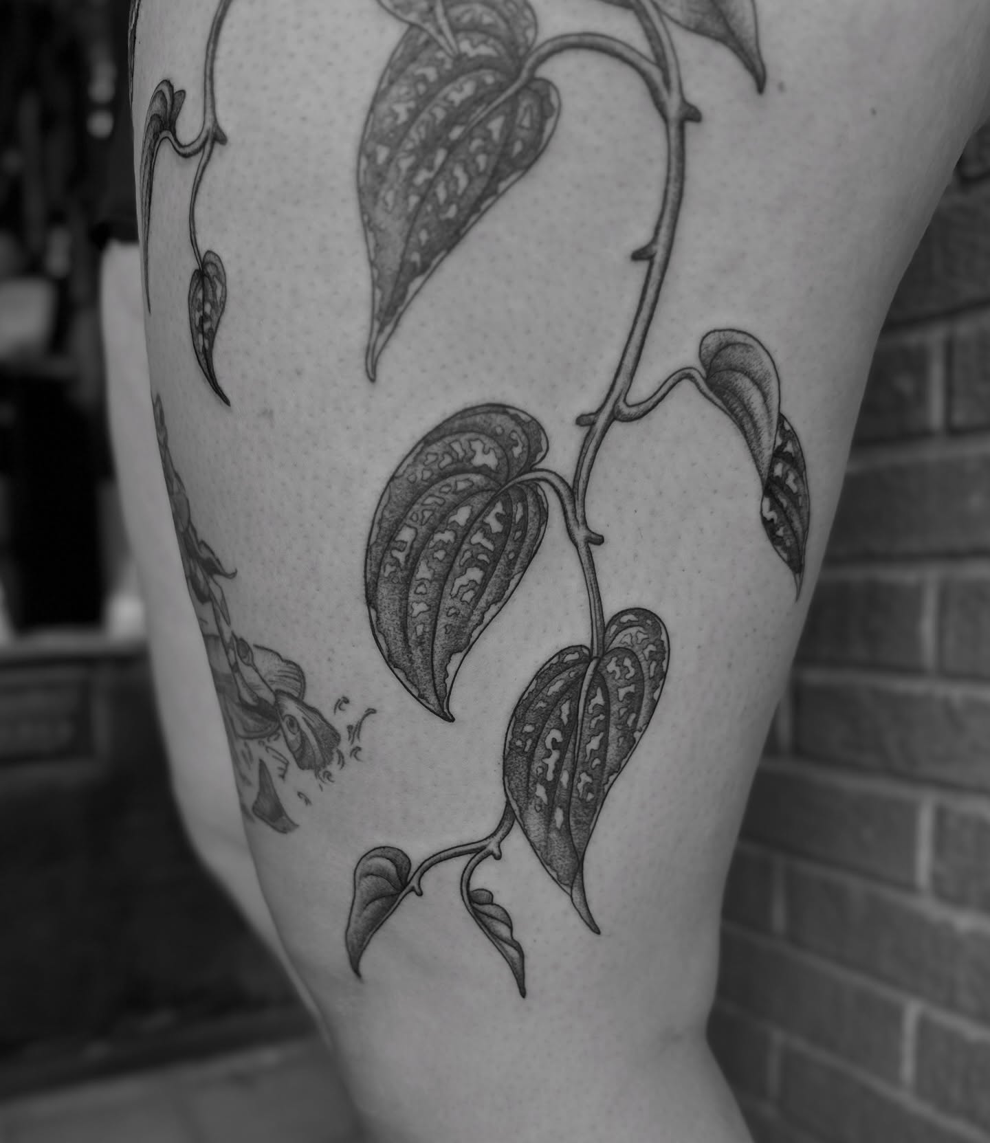 Tattoo by @alexbrooke — black_and_grey