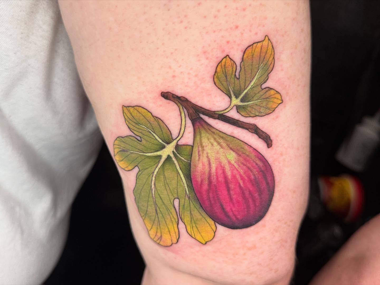 Fig realism tattoo on the forearm by Kaitlyn Brebner