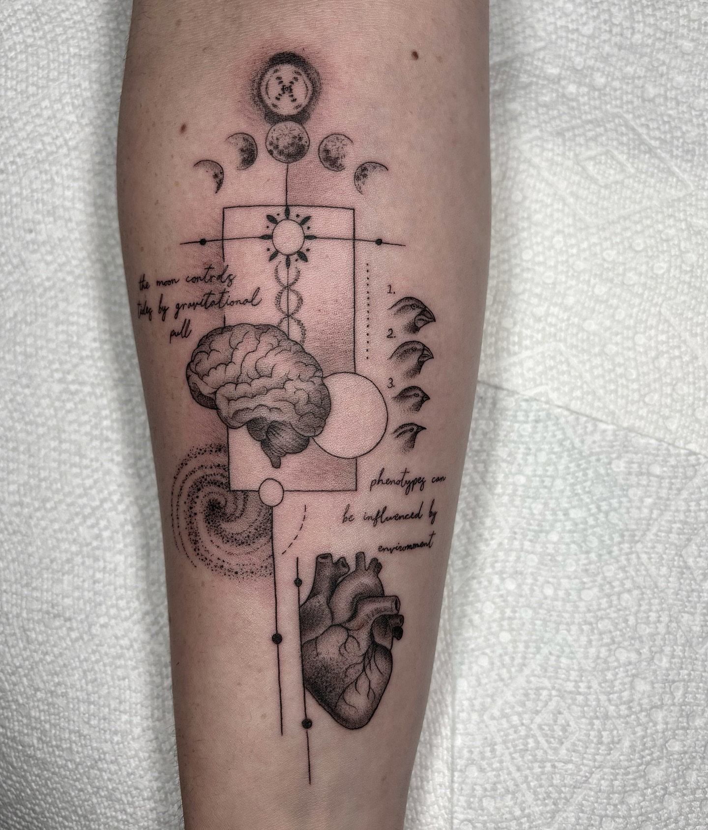 Astronomy and anatomy dotwork tattoo on the forearm by Fineline tattoos by Kinsey