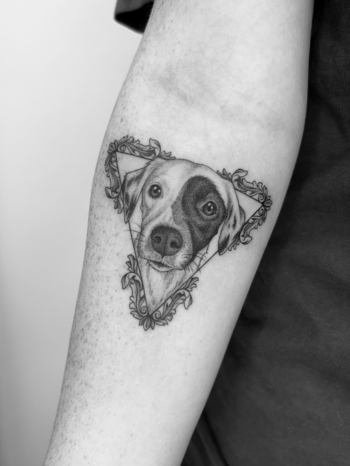 Dog portrait realism tattoo on the forearm by ☆ Nashville Fine Line Tattoo Artist ☆