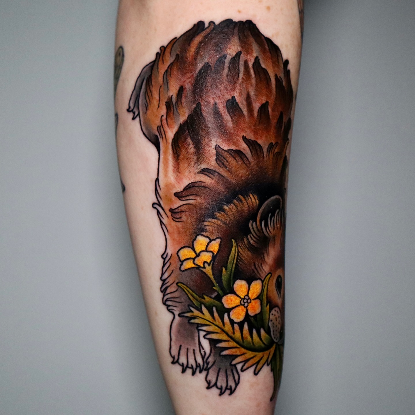 Koala and flowers American traditional tattoo on the forearm by Lauren Howard Tattoos