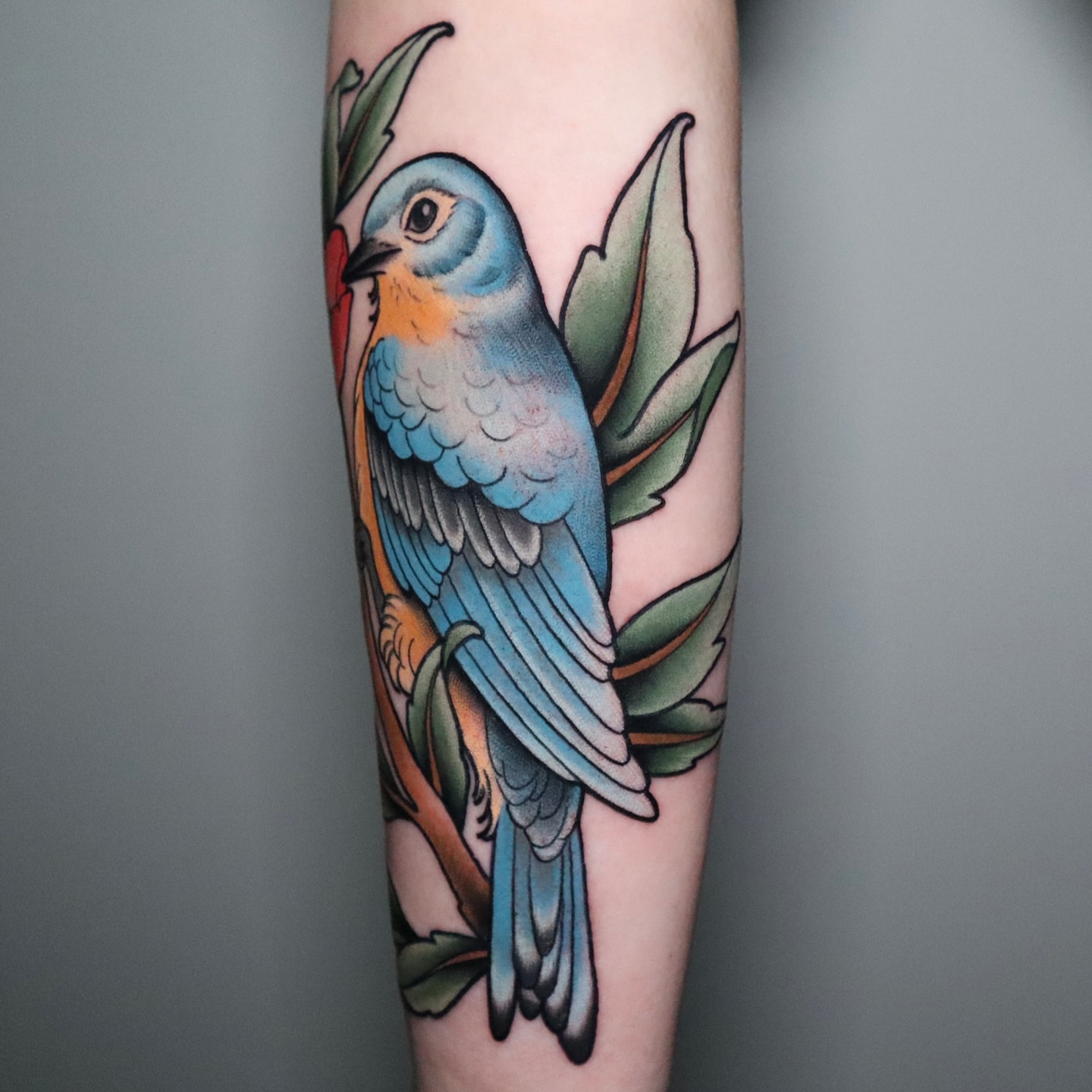 Bluebird American traditional tattoo on the forearm by Lauren Howard Tattoos