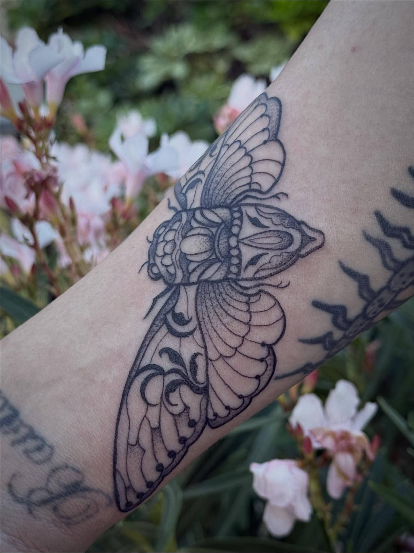 Moth dotwork tattoo on the forearm by abbie michelle