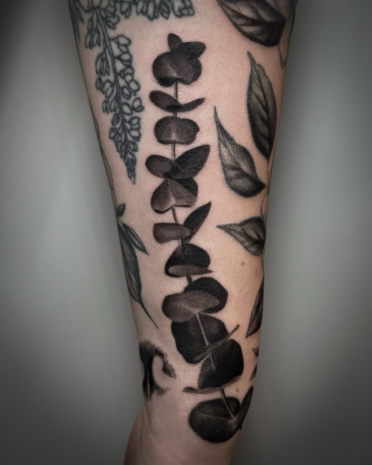 Eucalyptus leaves black and grey tattoo on the forearm by Tattoos by Katherina, Willoughby, Ohio