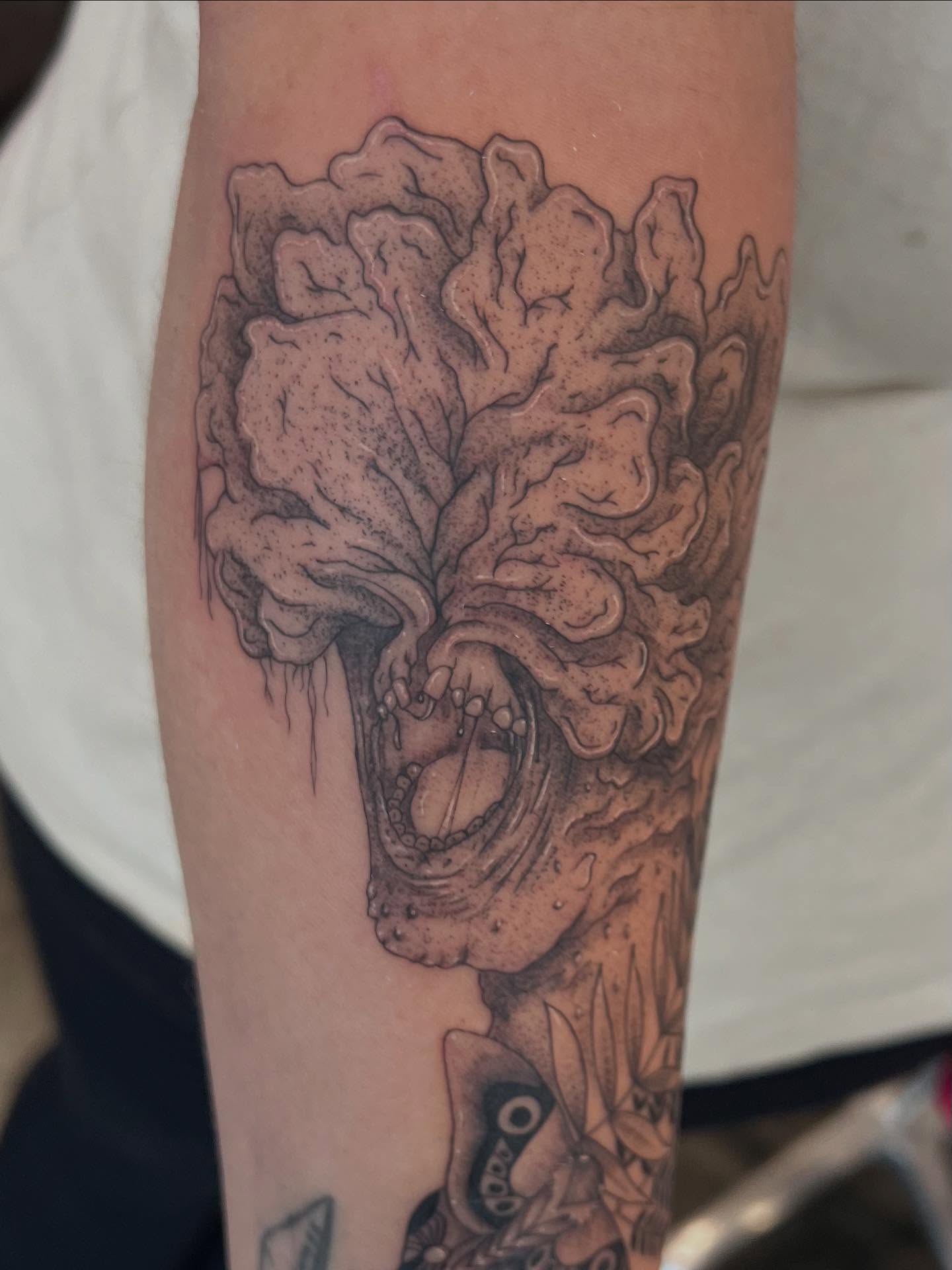 Tattoo by @tattsbykat_ — dotwork, realism