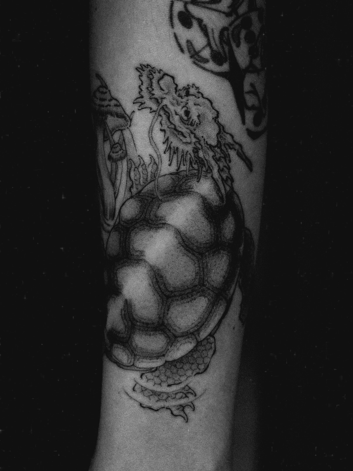 Tattoo by @ray_thefox — dotwork, black_and_grey