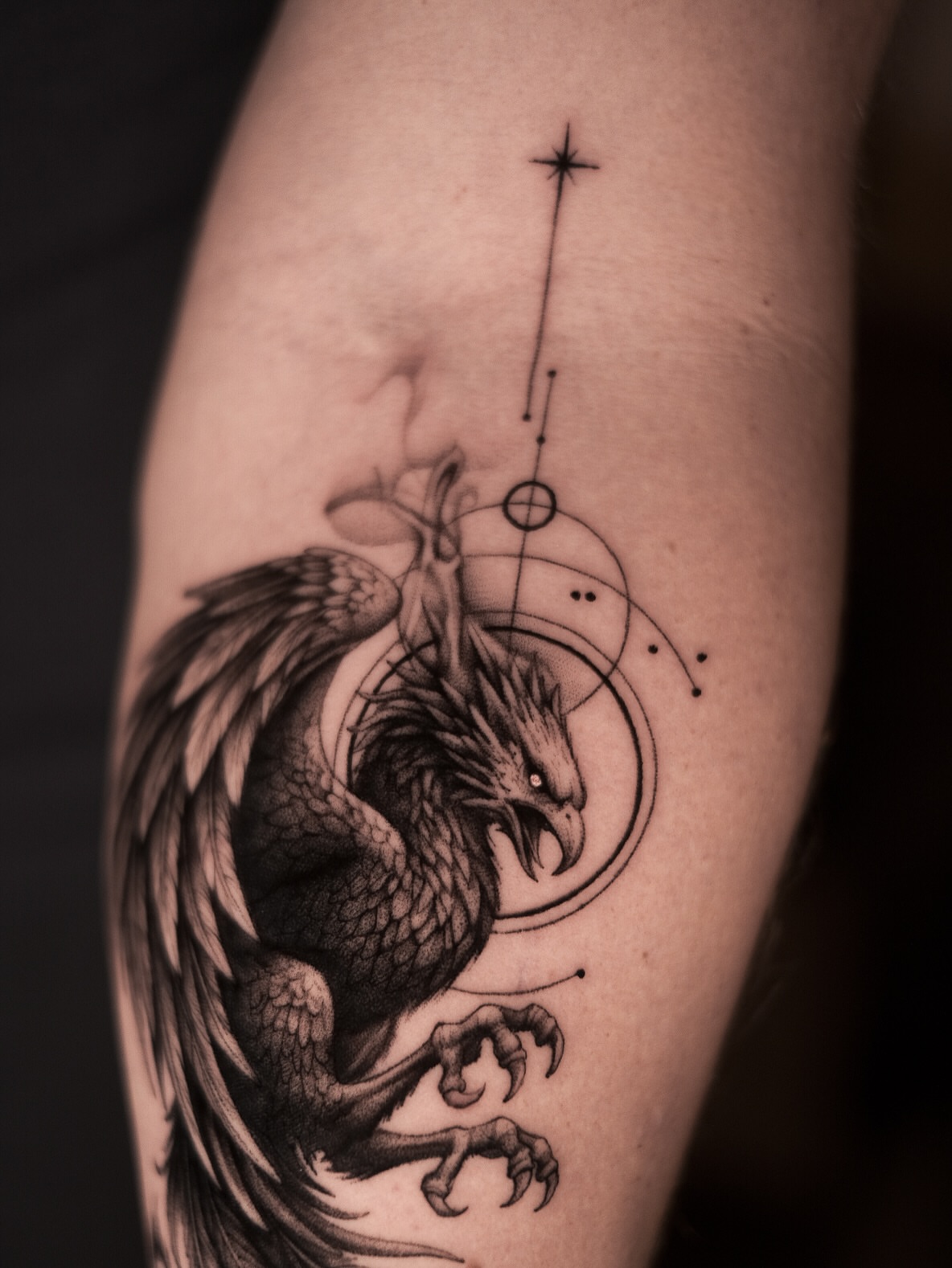 Phoenix realism tattoo on the forearm by Oleksandr Moroz