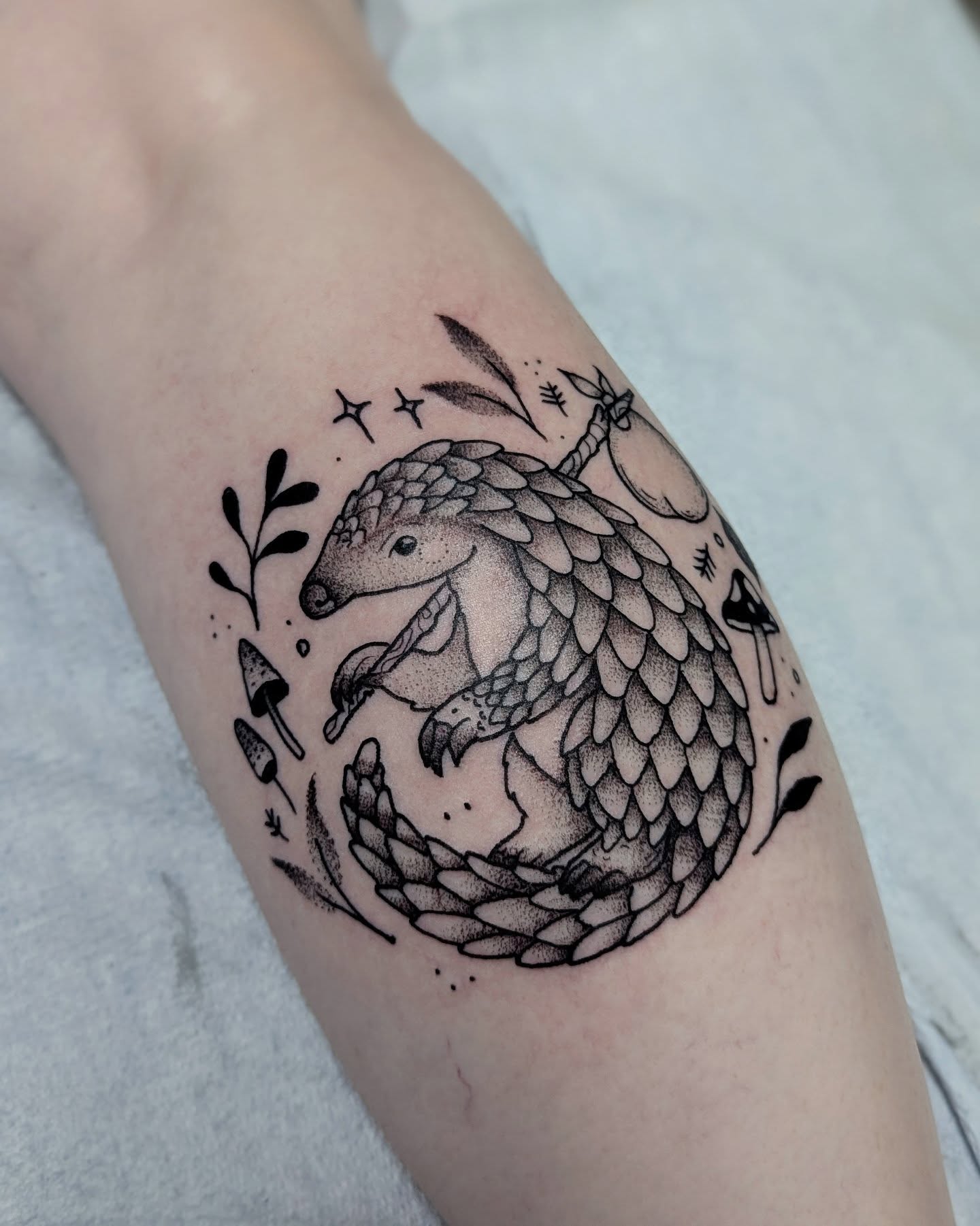 Pangolin dotwork tattoo on the forearm by Dani Harkey