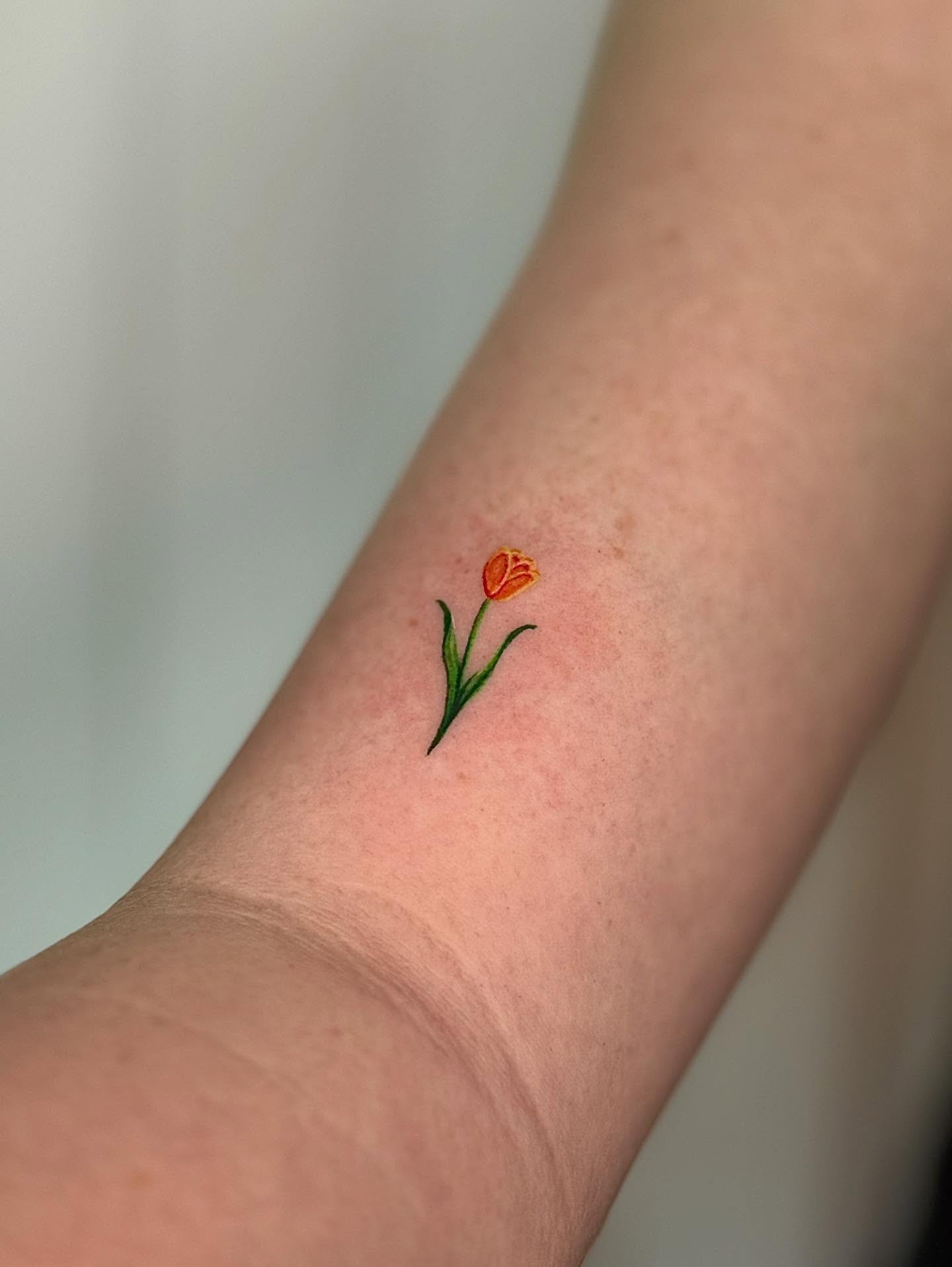 Tulip dotwork tattoo on the forearm by Khang🇻🇳