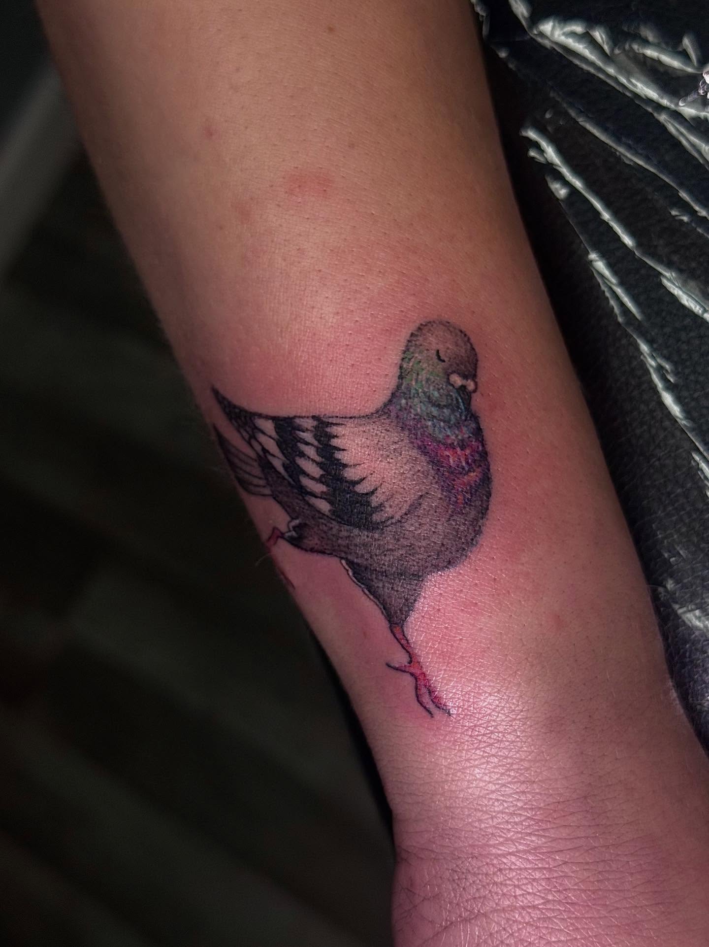 Pigeon realism tattoo on the forearm by Khang🇻🇳