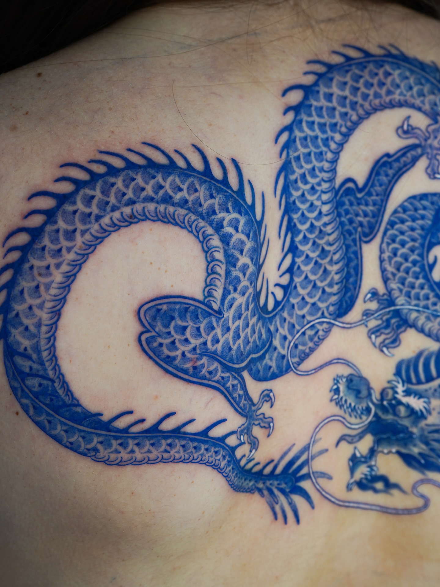 Tattoo by @swanissober — japanese_irezumi