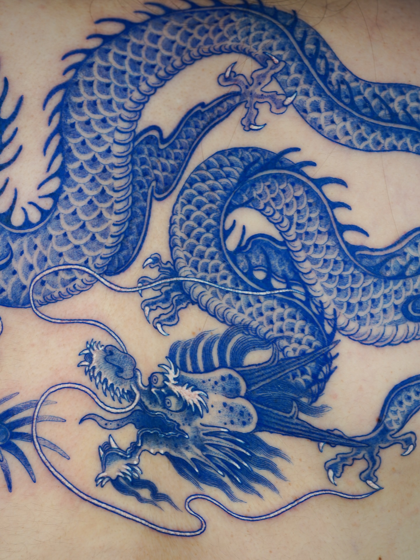 Dragon japanese irezumi tattoo on the torso by Swani