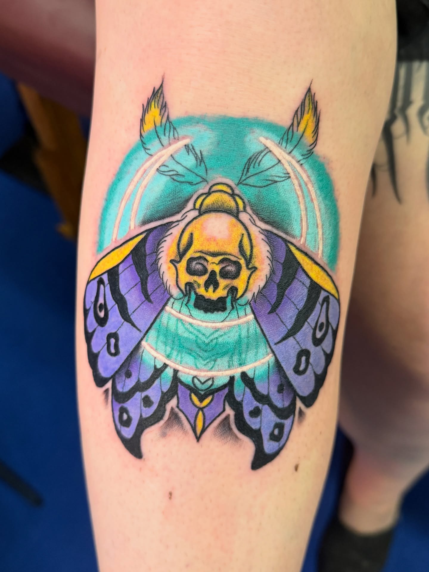 Skull moth American traditional tattoo on the forearm by Brittney