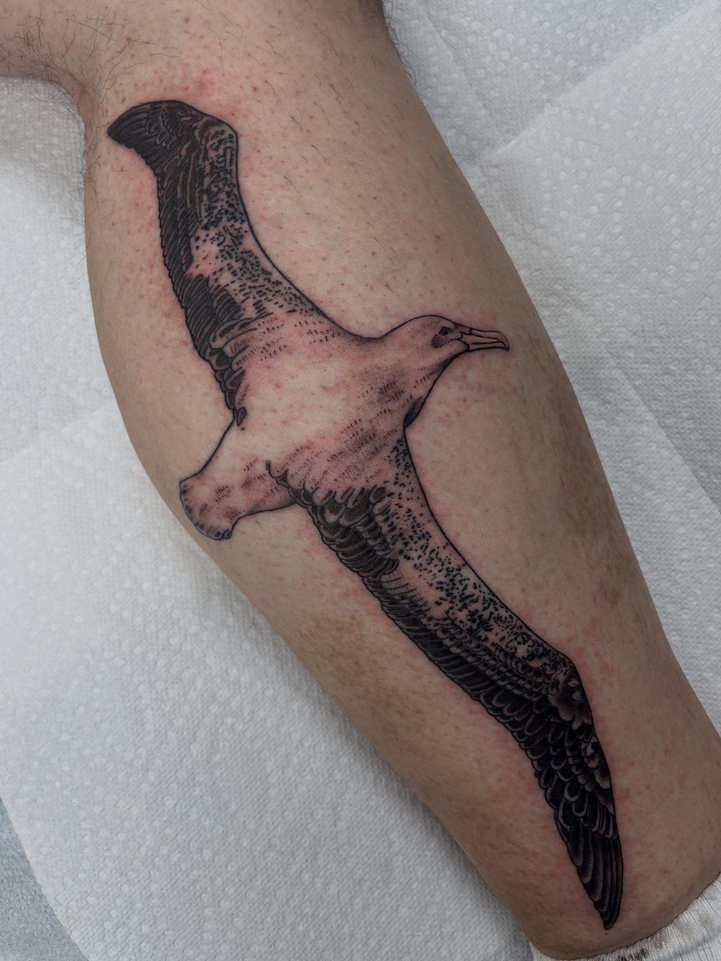 Seagull black and grey tattoo on the forearm by Brian Mcfadden