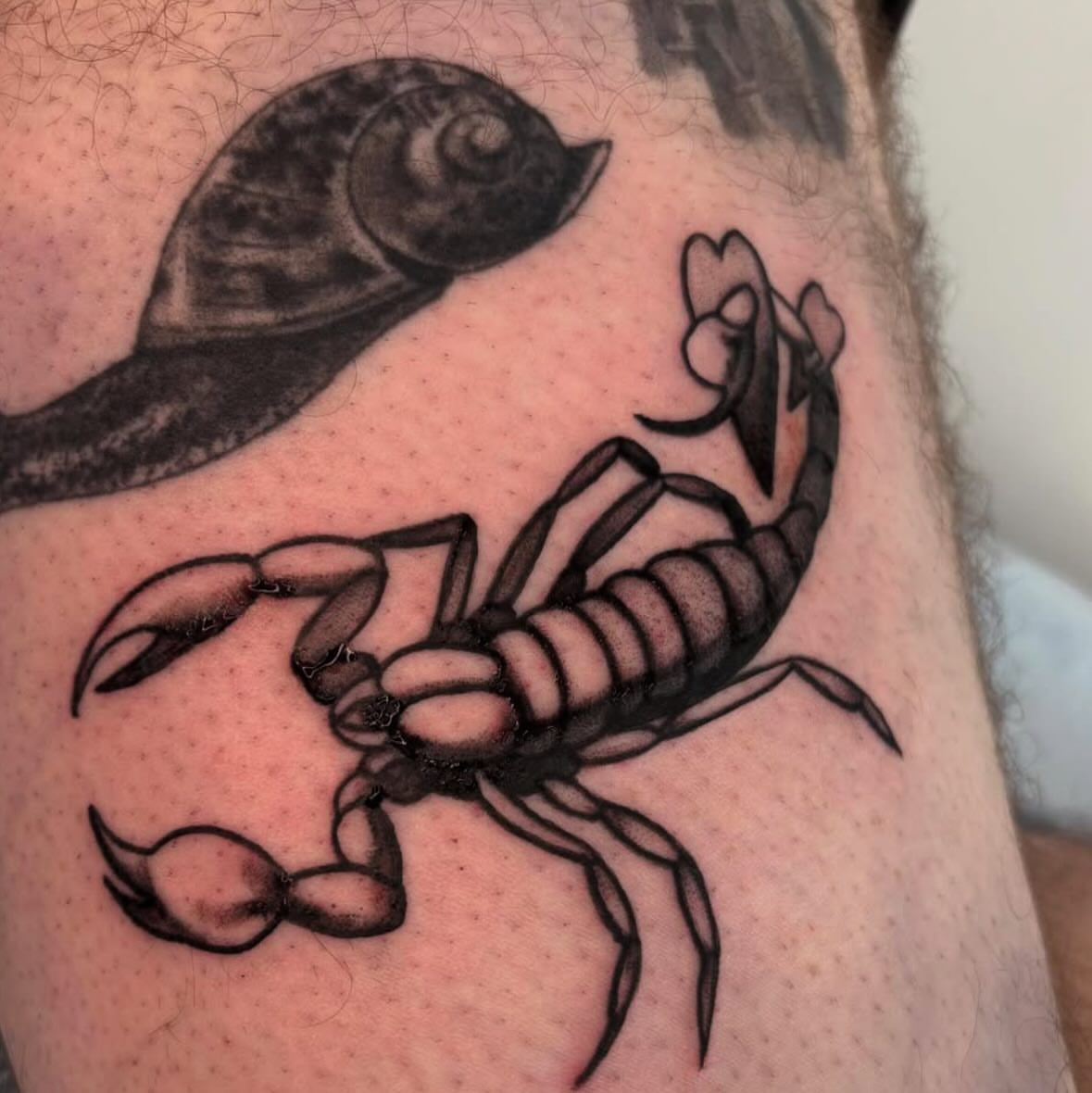 Scorpion black and grey tattoo on the forearm by Dylan Coverdale