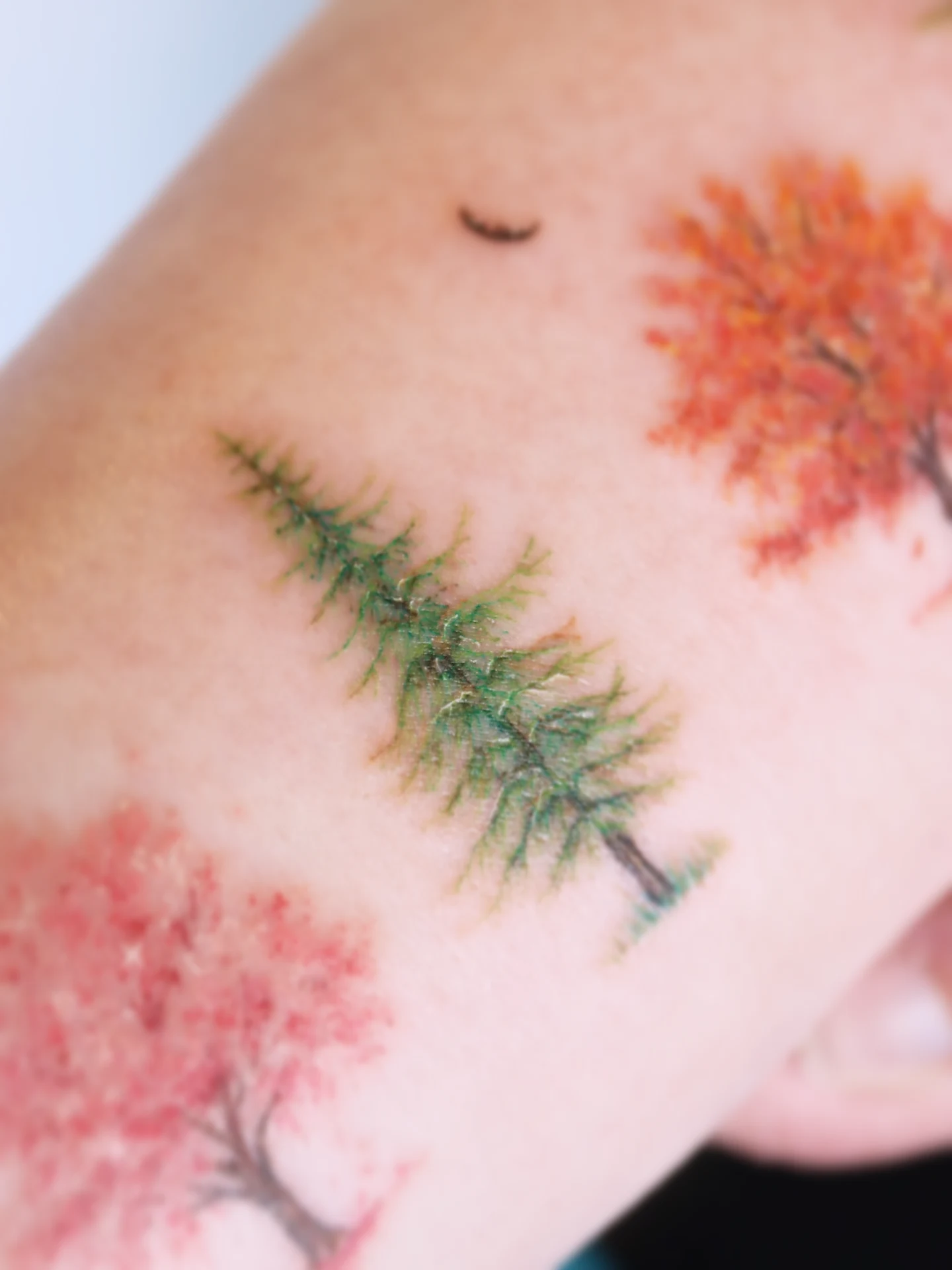 Tattoo by @tattooist_namoo — dotwork