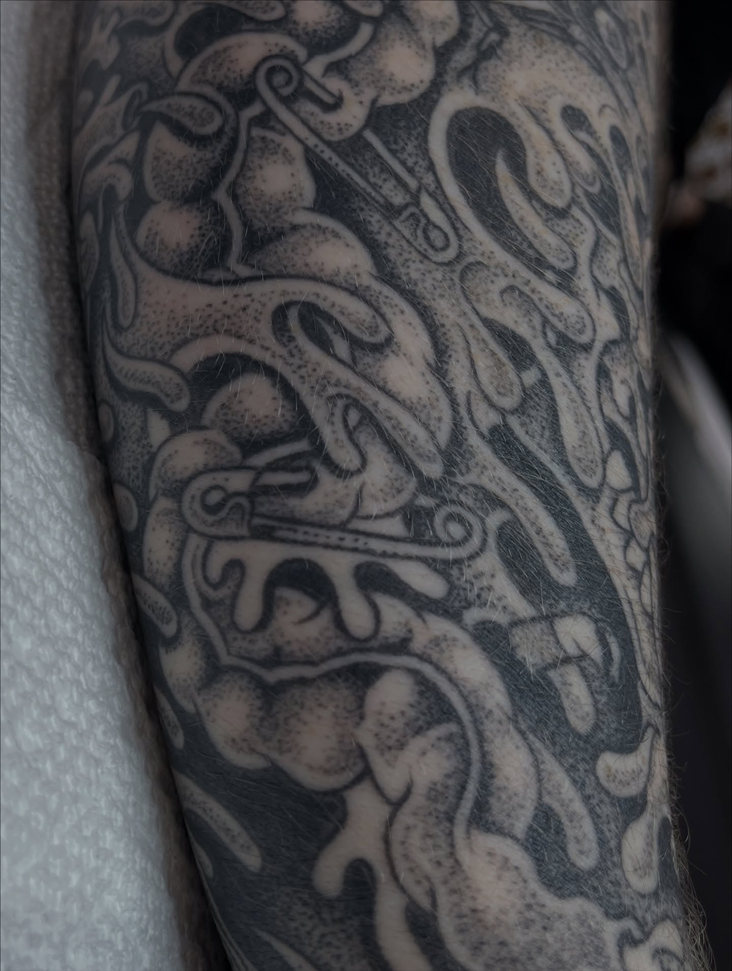 Tattoo by @evilnemec โ dotwork, black_and_grey