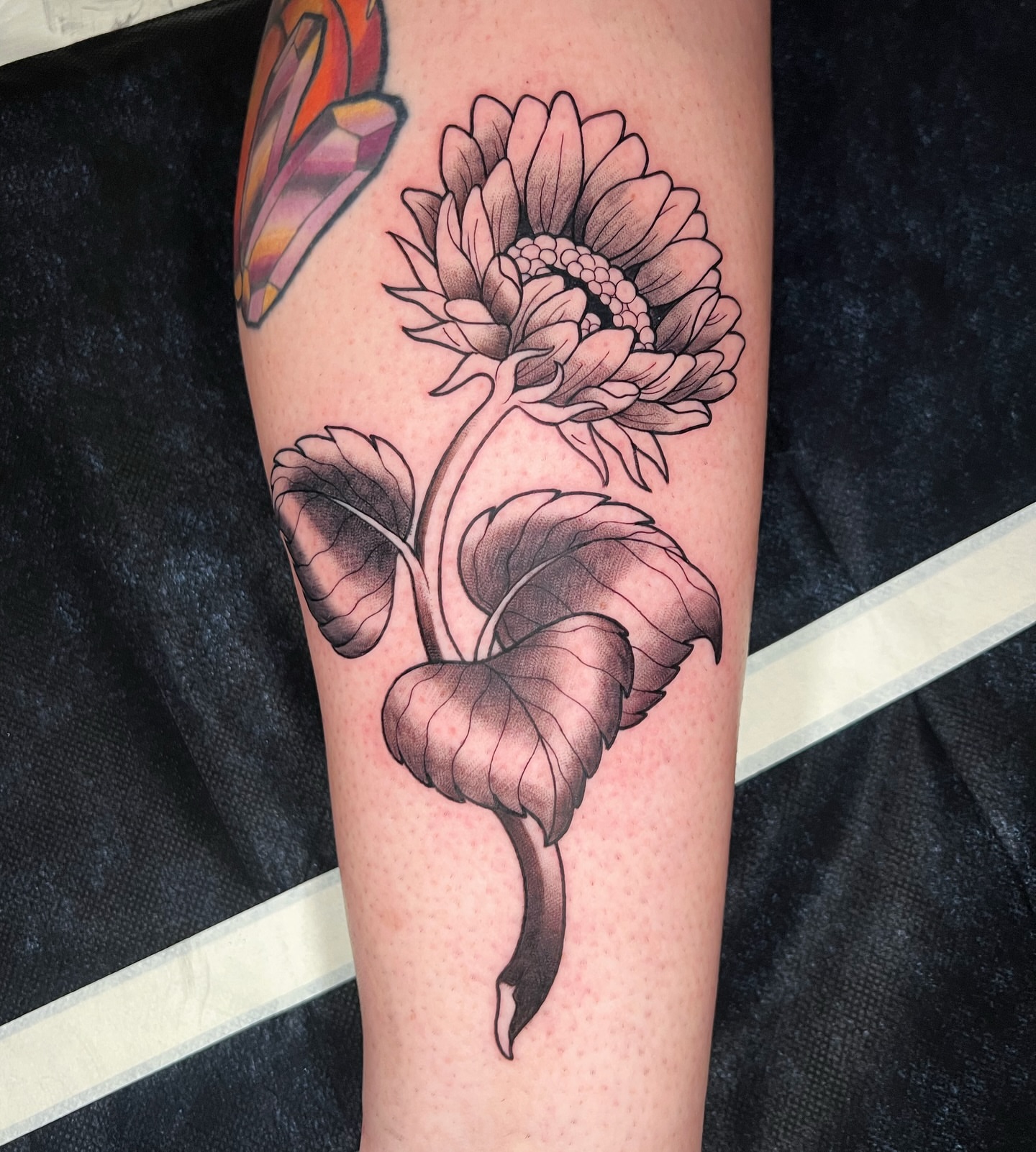Sunflower black and grey tattoo on the forearm by zoey sage ✦