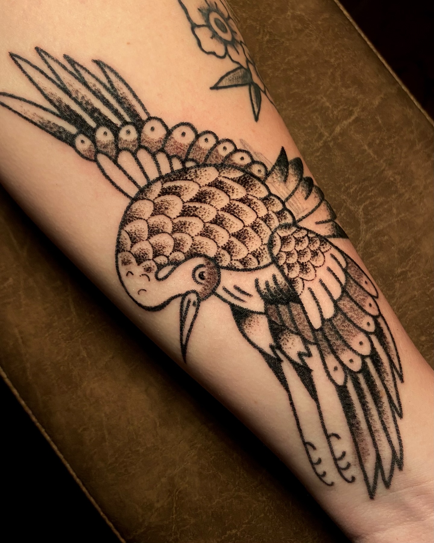 Bird American traditional tattoo on the forearm by Daniel Diego