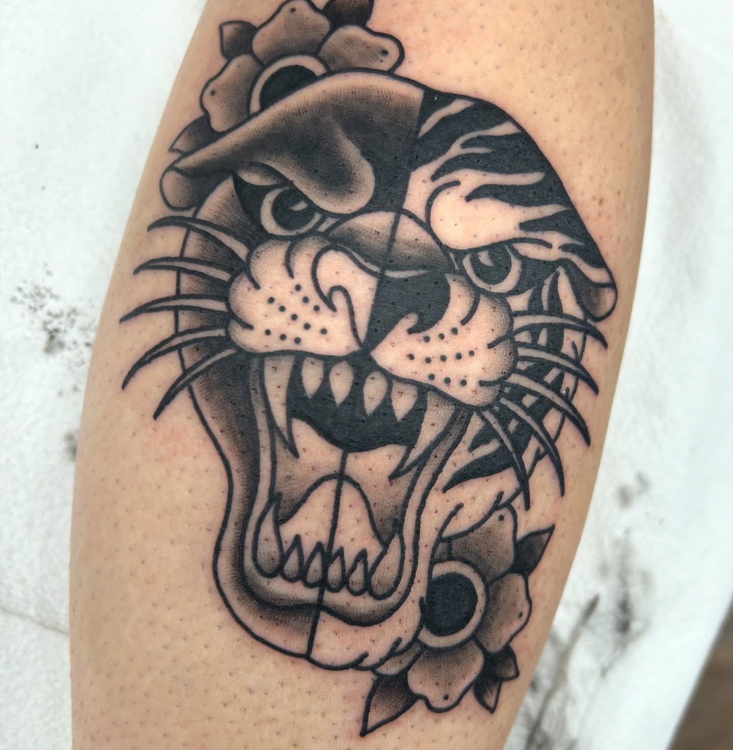 Tiger black and grey tattoo on the forearm by Courtney