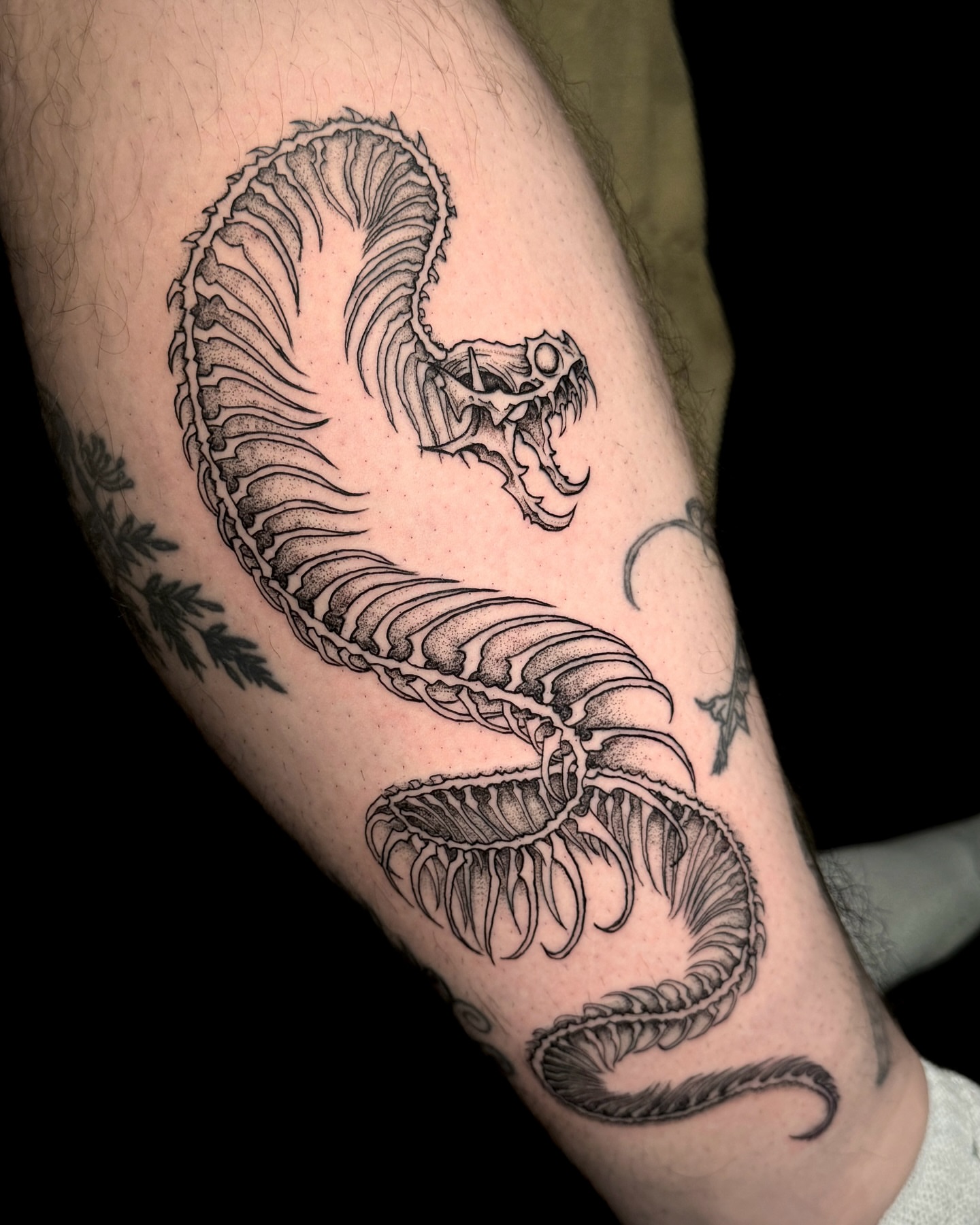 Snake dotwork tattoo on the forearm by Kam Mills