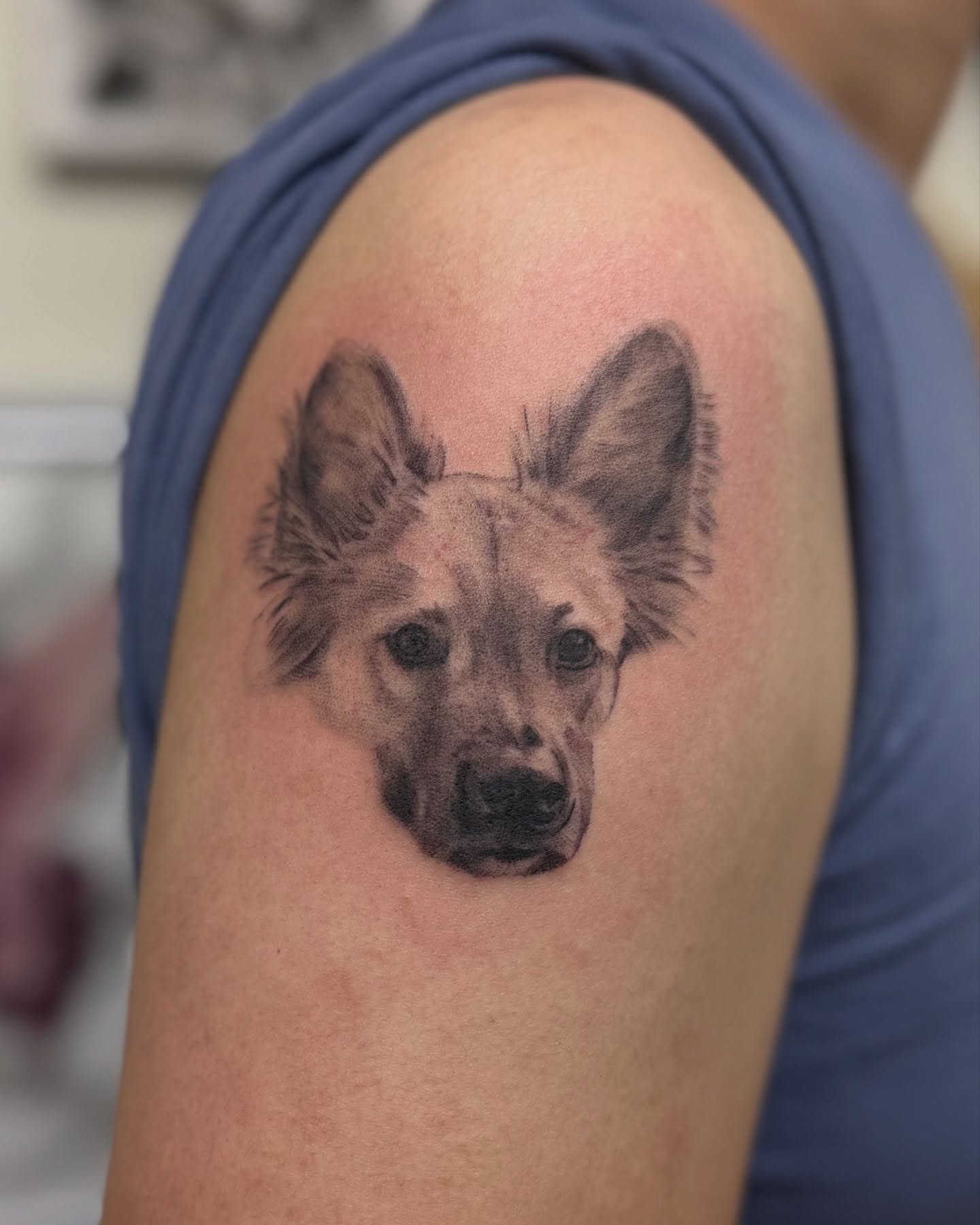 Dog realism tattoo on the shoulder by liliana lopez