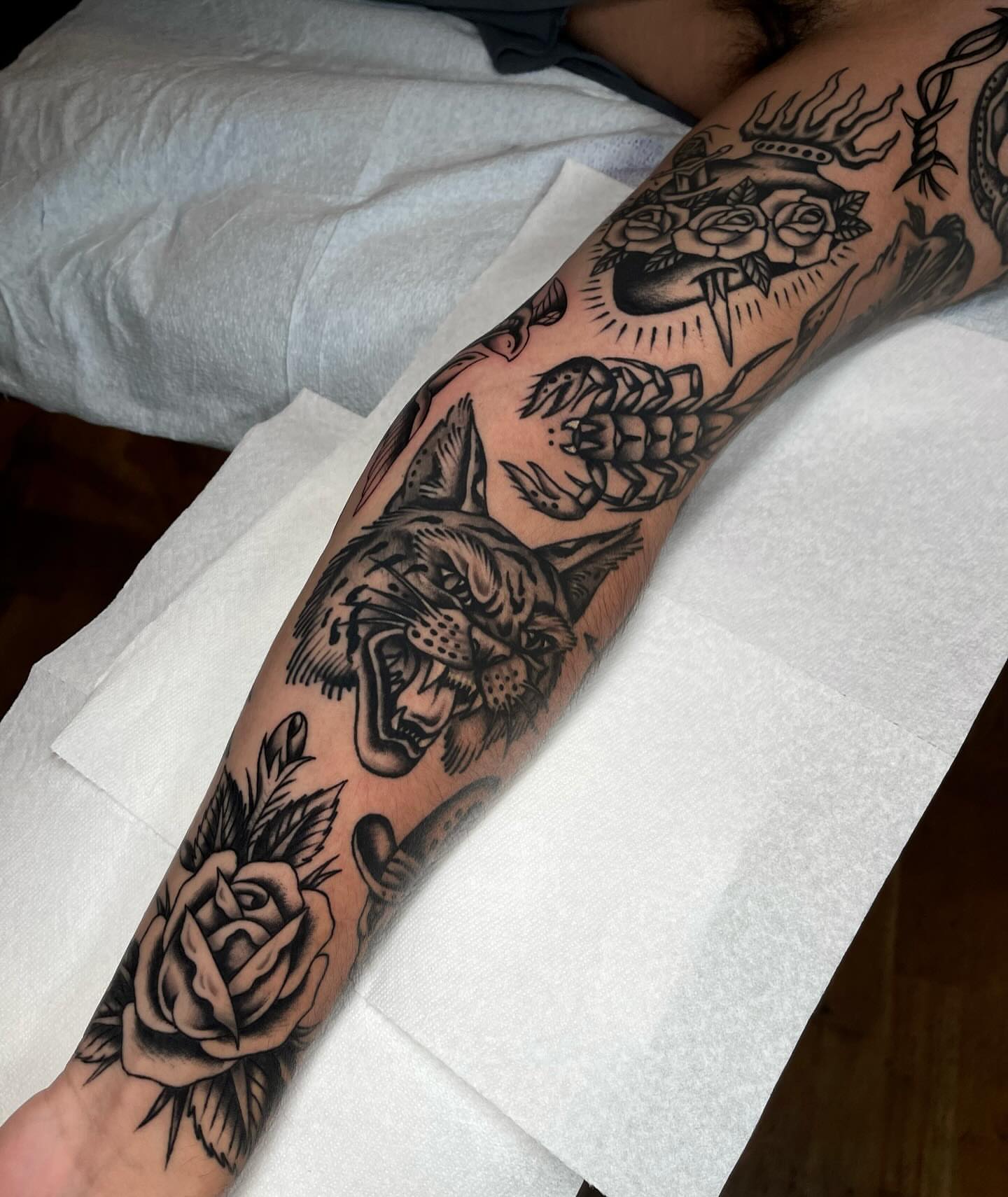 Roaring panther and roses American traditional tattoo on the forearm by Casey Sullivan, San Diego, California