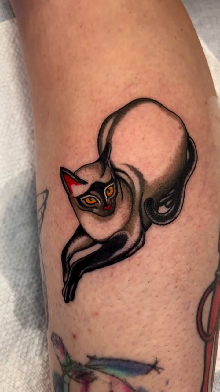 Siamese cat American traditional tattoo by superteal