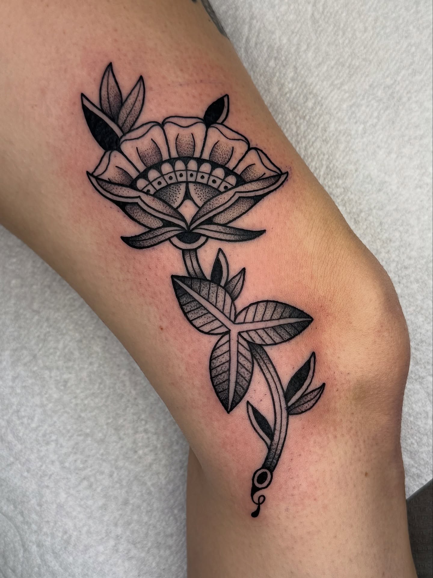 Tattoo by @clem.needlemark — dotwork, black_and_grey