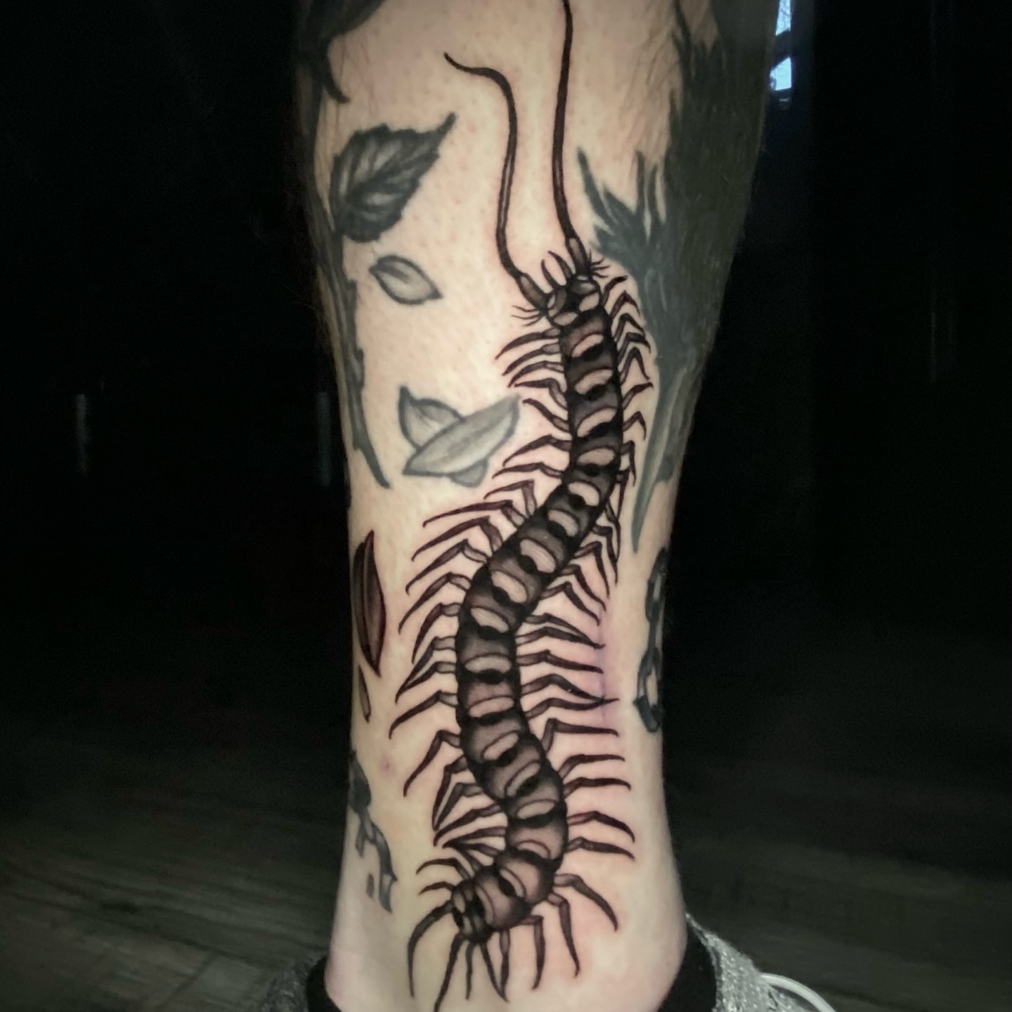 Centipede black and grey tattoo on the calf by ＊ 𝙴𝚁𝙸𝙺𝙰 𝚆𝙷𝙸𝚃𝙴 ＊ 𝙱𝙻𝚄𝙴 𝚃𝙾𝚁𝙲𝙷 𝚃𝙰𝚃𝚃𝙾𝙾