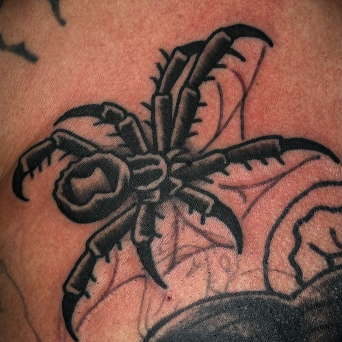 Spider black and grey tattoo by Rob, Nashville, Tennessee