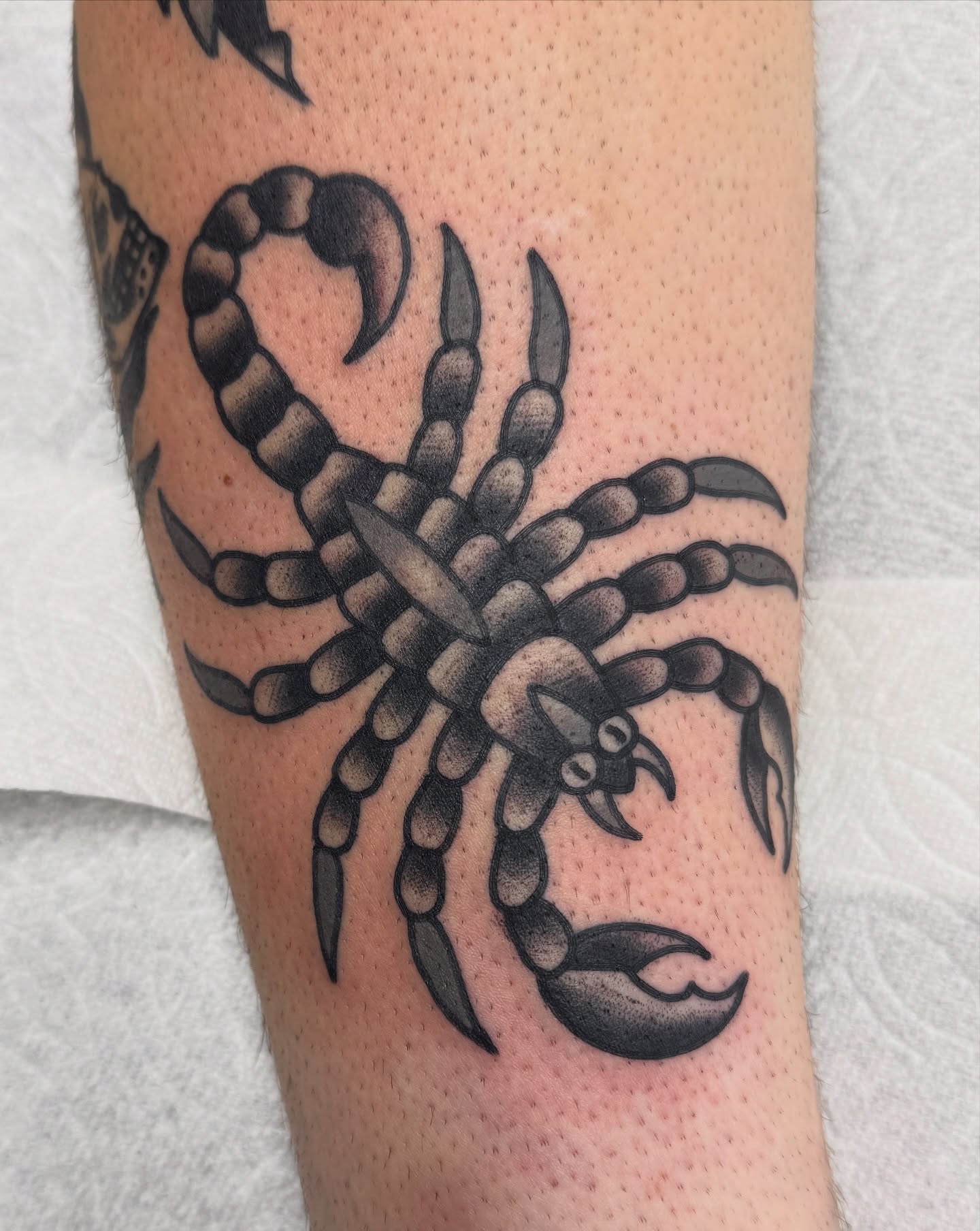 Scorpion American traditional tattoo on the forearm by Joey Burdette Tattoos