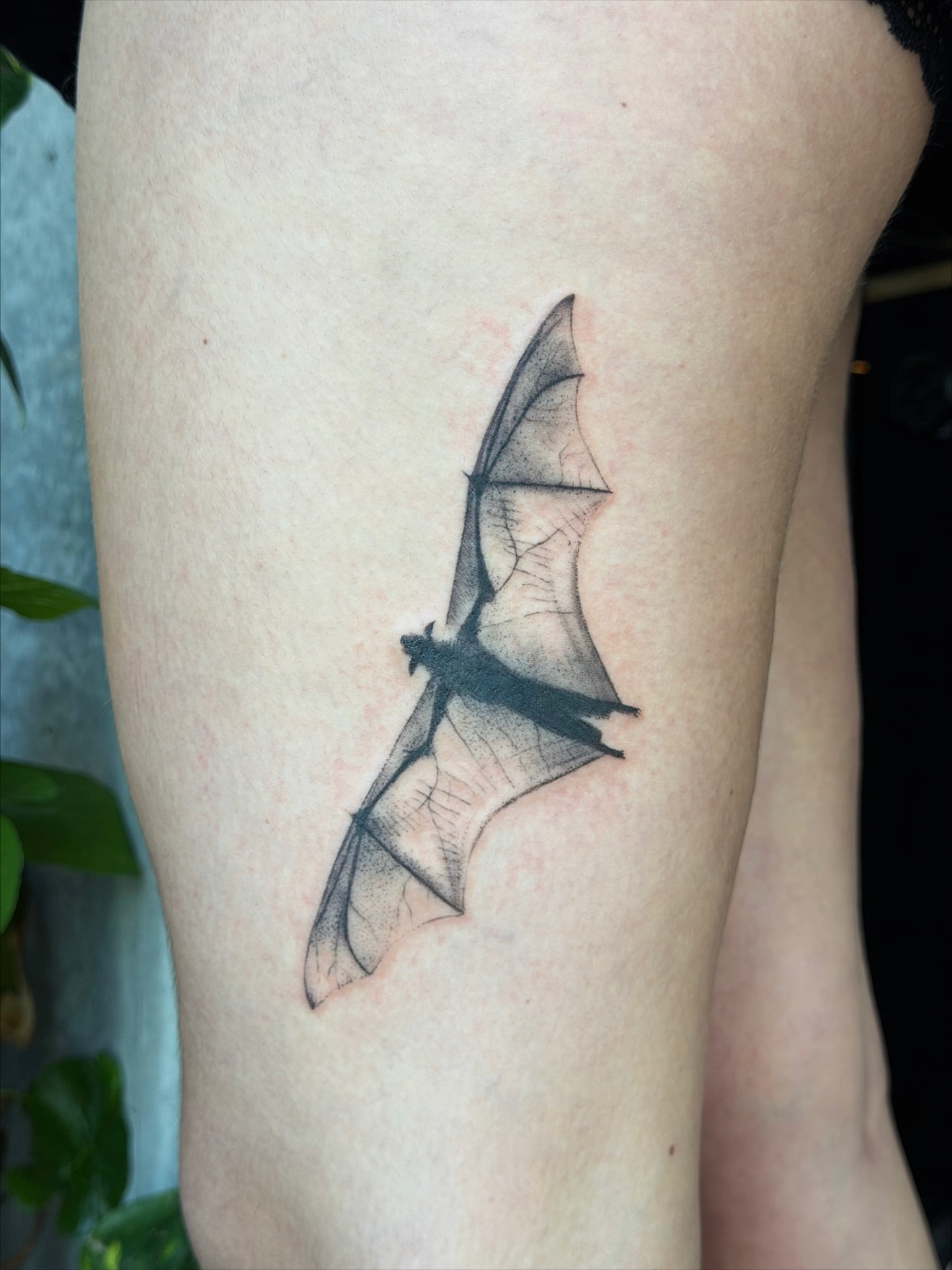 Tattoo by @enjolieart — black_and_grey