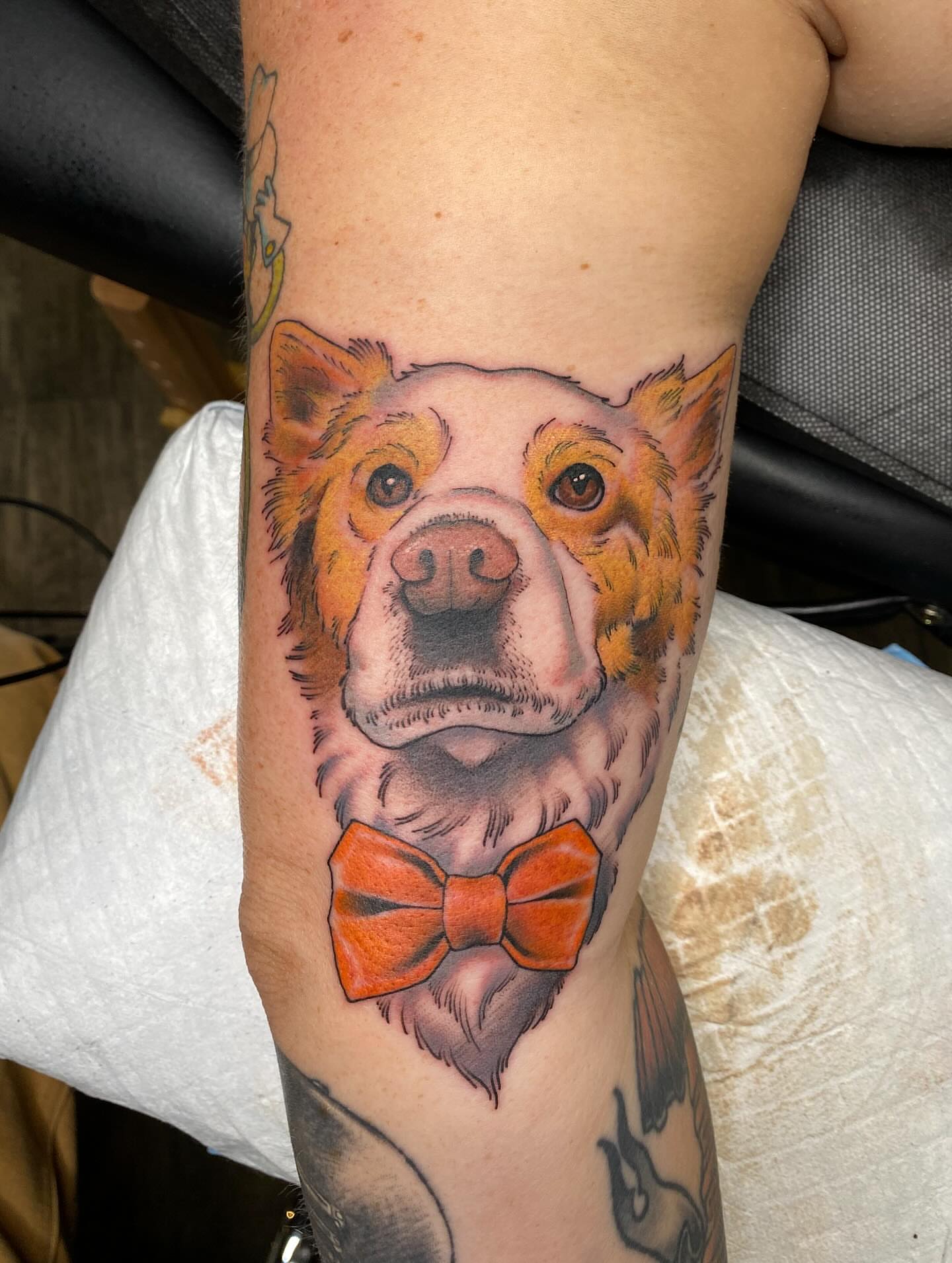Dog wearing bow tie realism tattoo on the forearm by Kyle Kozek, Columbus, Ohio