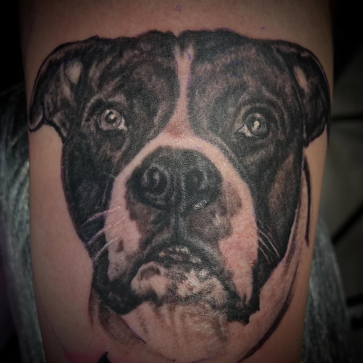 Tattoo by @sheffieldink — realism
