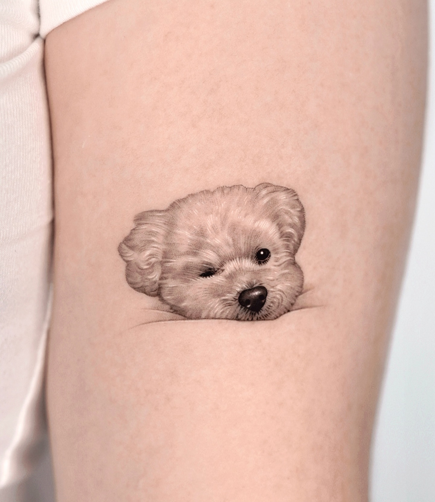 Dog realism tattoo on the forearm by 제알타투 반려견타투 강아지타투 고양이타투 반려동물타투