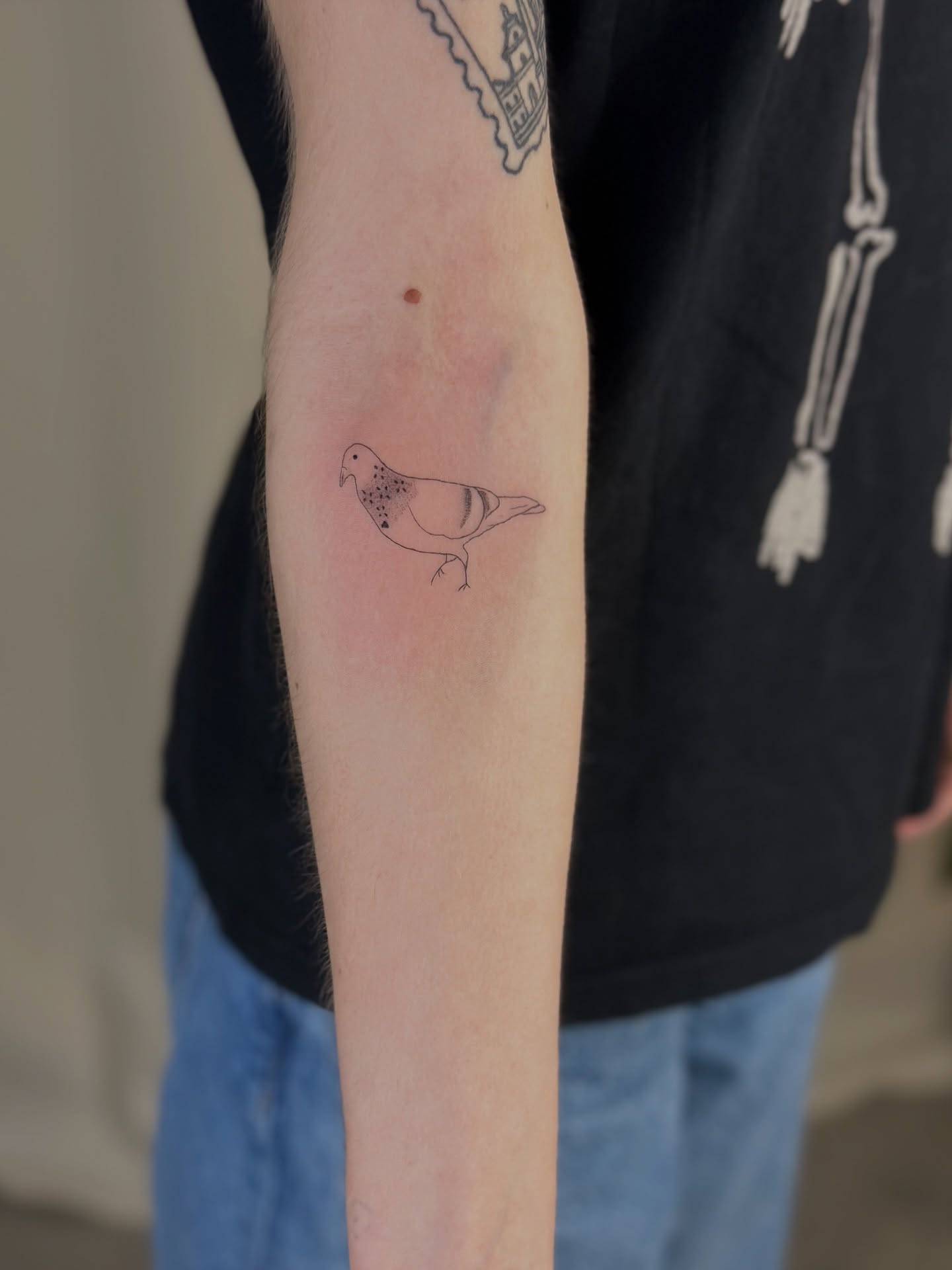 Pigeon minimalist tattoo on the forearm by Cherry🥀