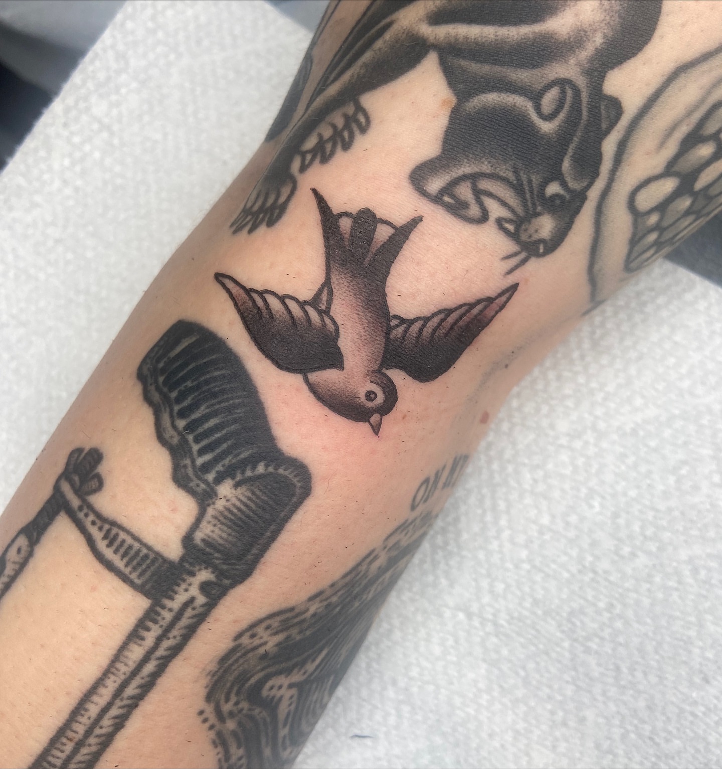 Bird American traditional tattoo on the forearm by nicholas mcevoy, Boston, Massachusetts