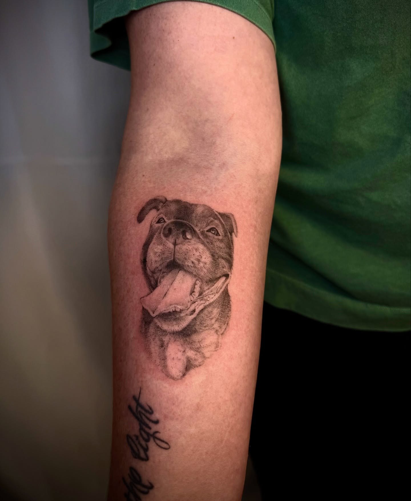 Pit bull realism tattoo on the forearm by Tattoo Yulia Kononenko