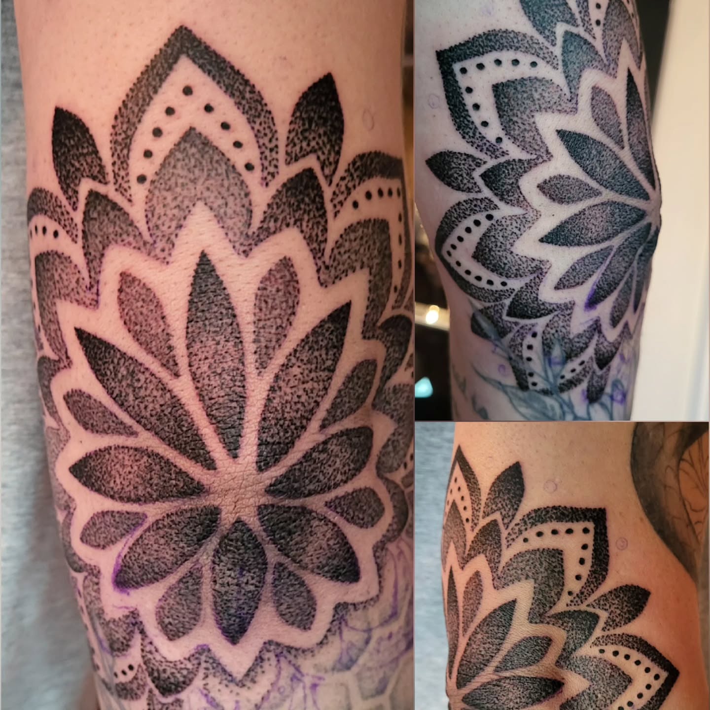 Tattoo by @ele_tattoos — dotwork, black_and_grey