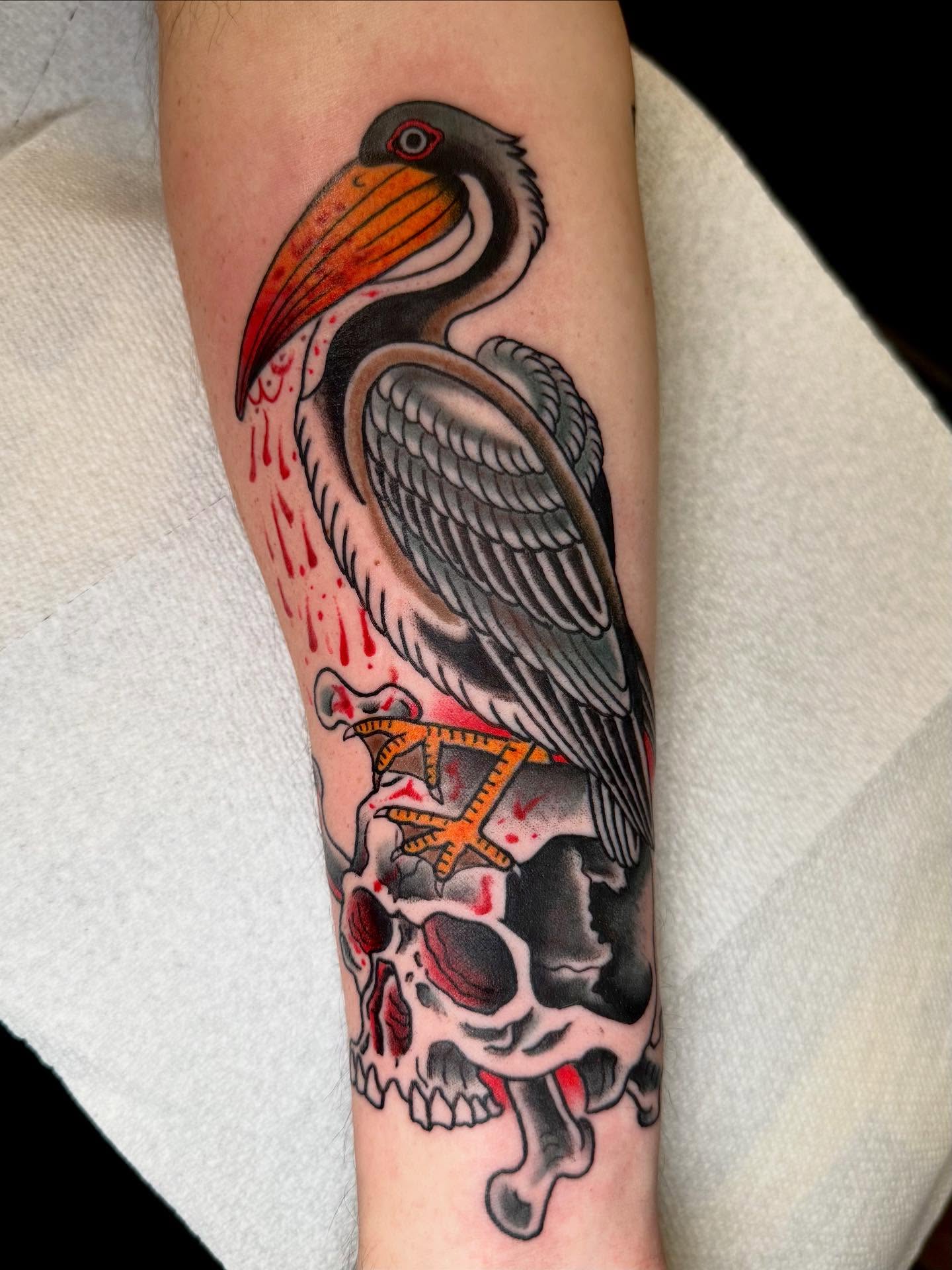 Toucan and skull American traditional tattoo on the forearm by Seth Walker
