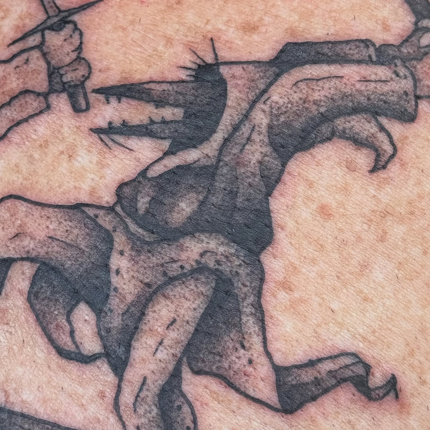 Tattoo by @haut_ces_ane — black_and_grey