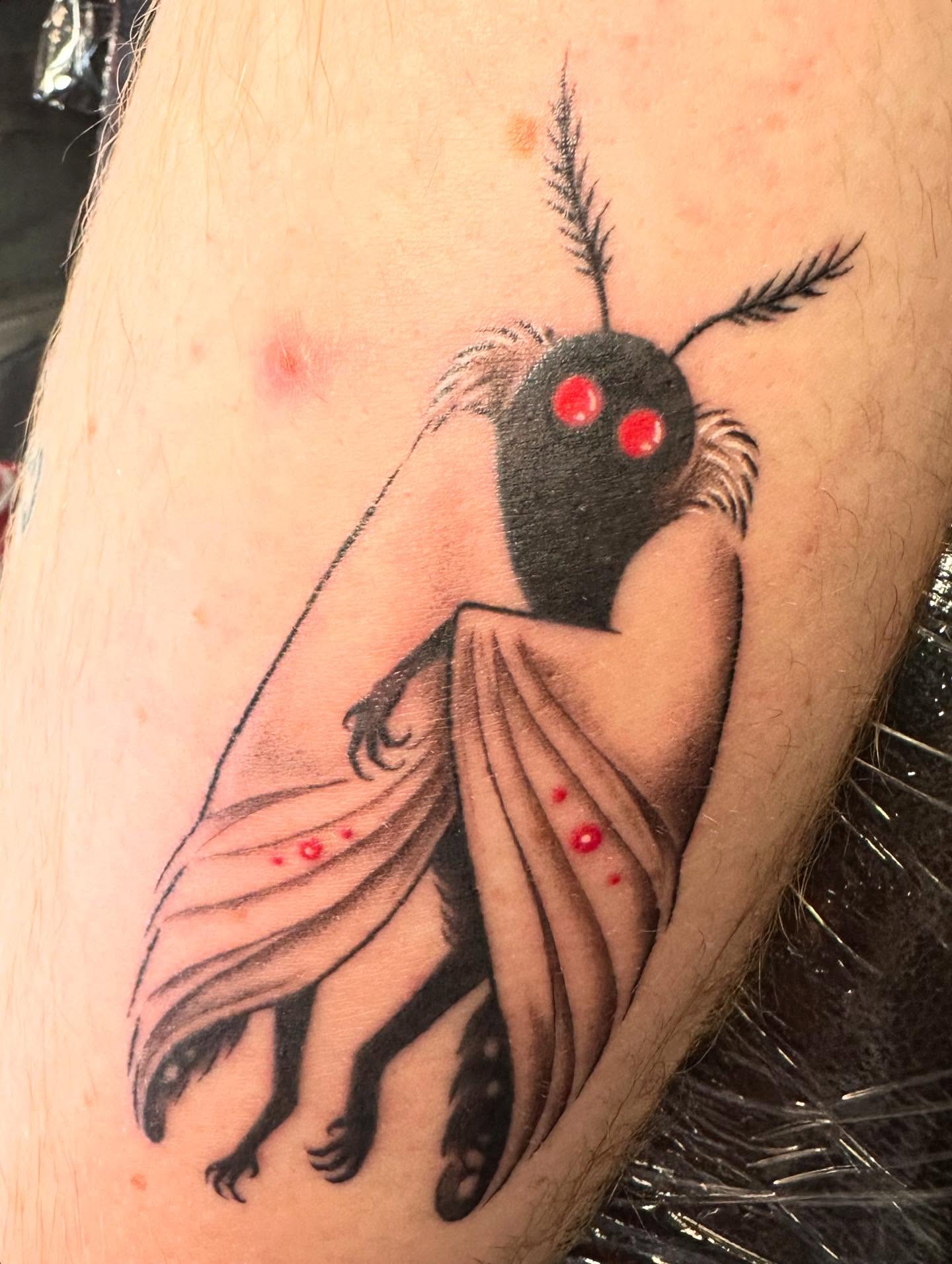 Insect dark realism tattoo on the forearm by Sarah Nash