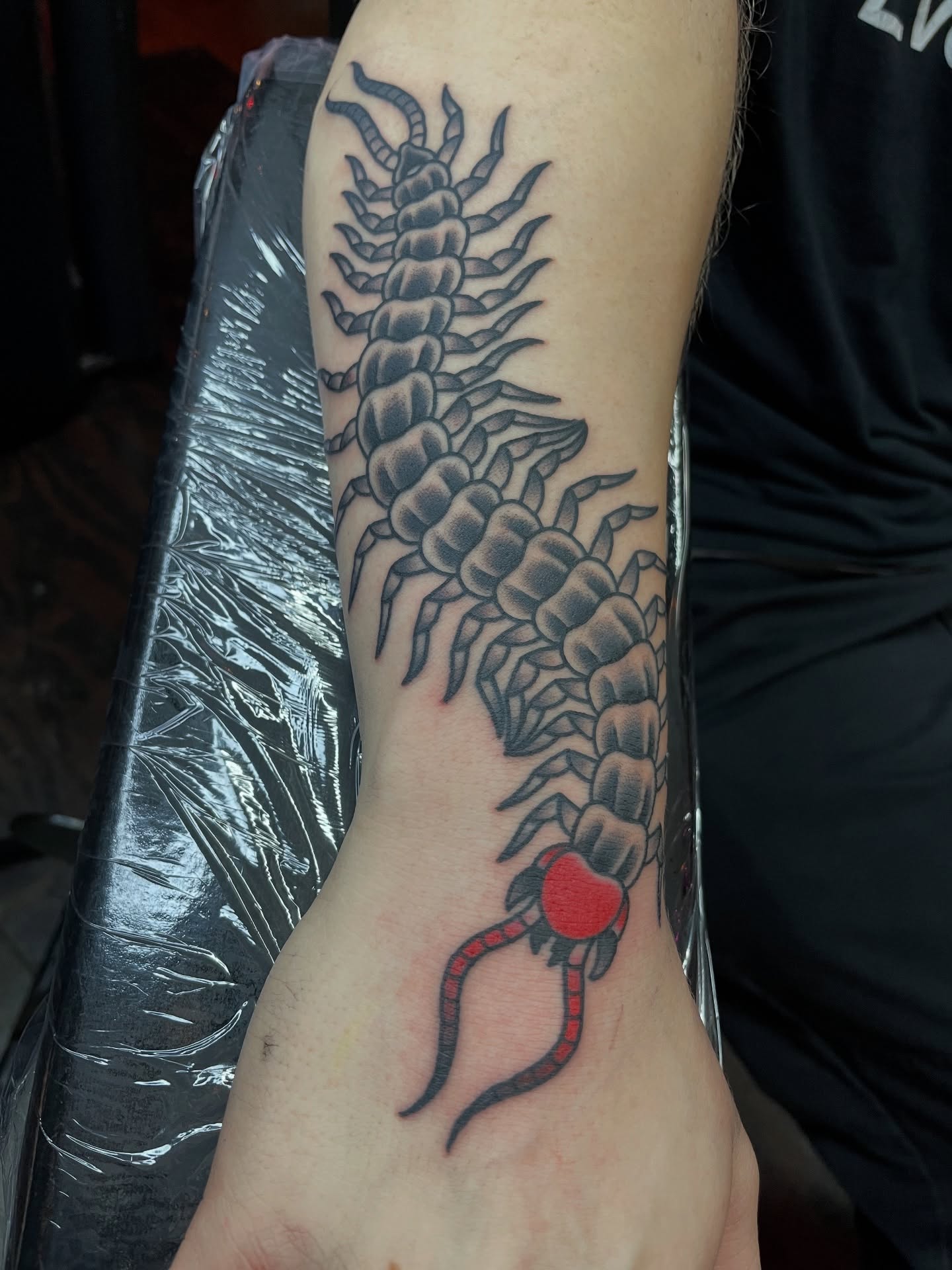 Centipede black and grey tattoo on the forearm by Tom Taylor, Philadelphia, Pennsylvania