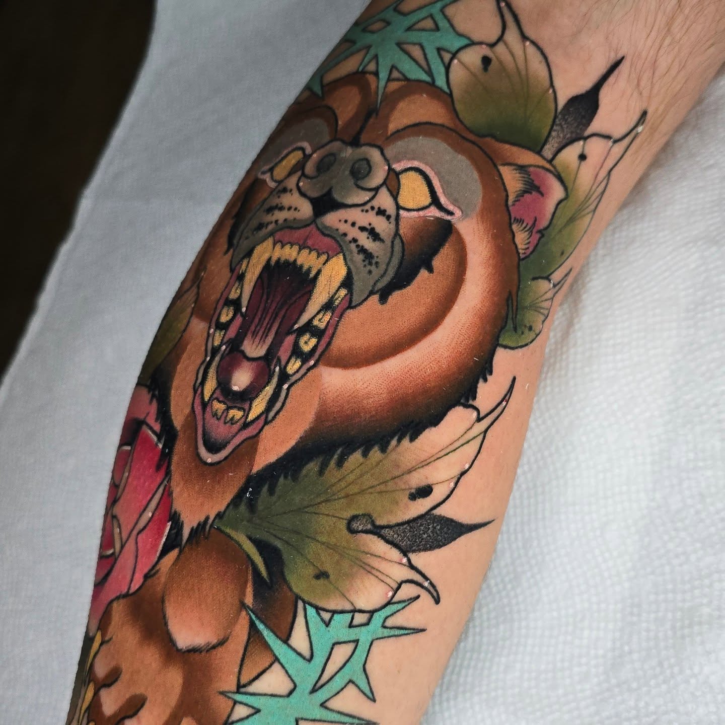 Roaring bear American traditional tattoo on the forearm by Justin Eldridge
