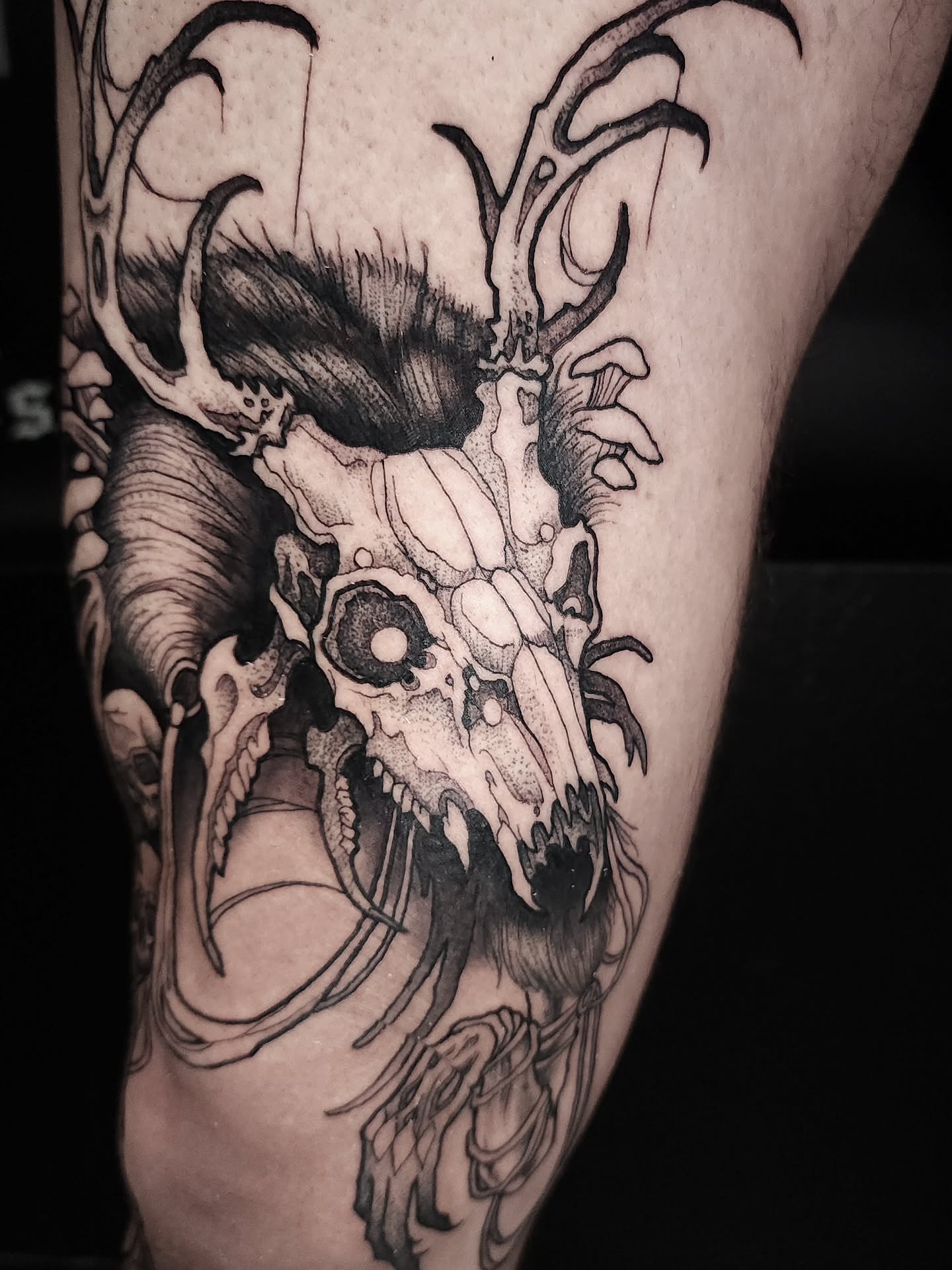 Deer skull realism tattoo on the thigh by Mario Romero